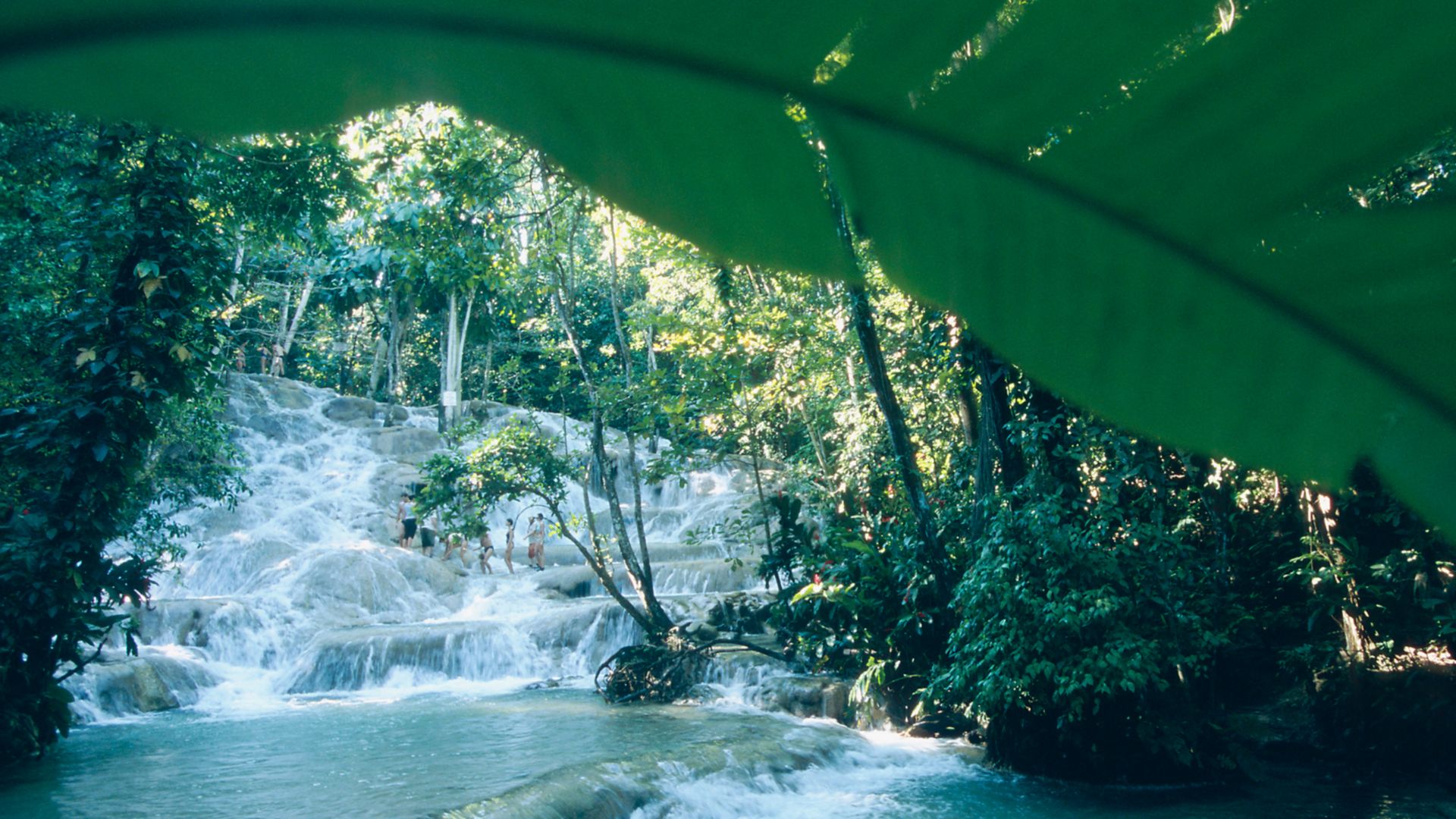 Green Grotto Caves und Dunn’s River Falls