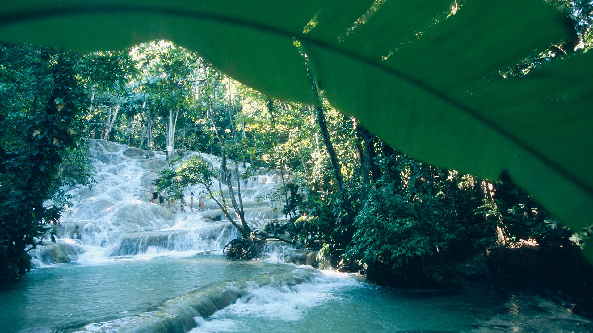 Green Grotto Caves und Dunn’s River Falls
