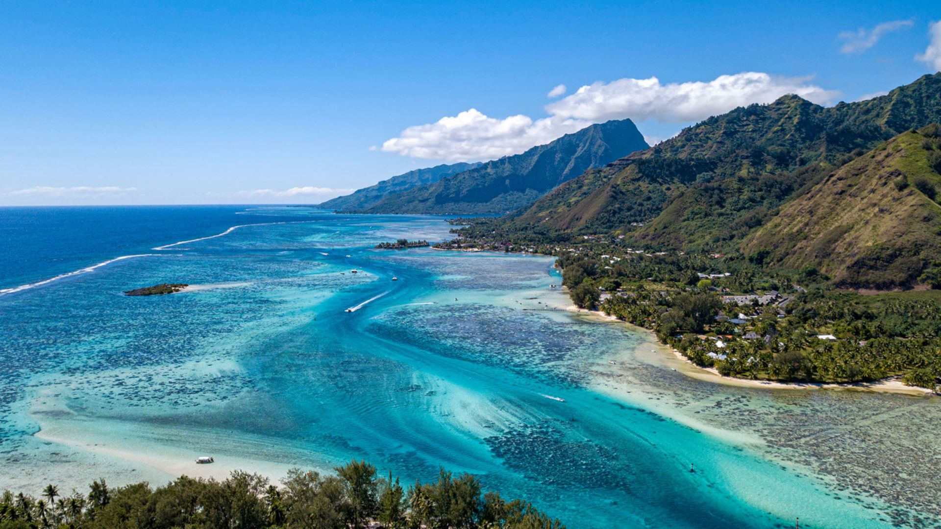 Einblick in die Natur von Moorea