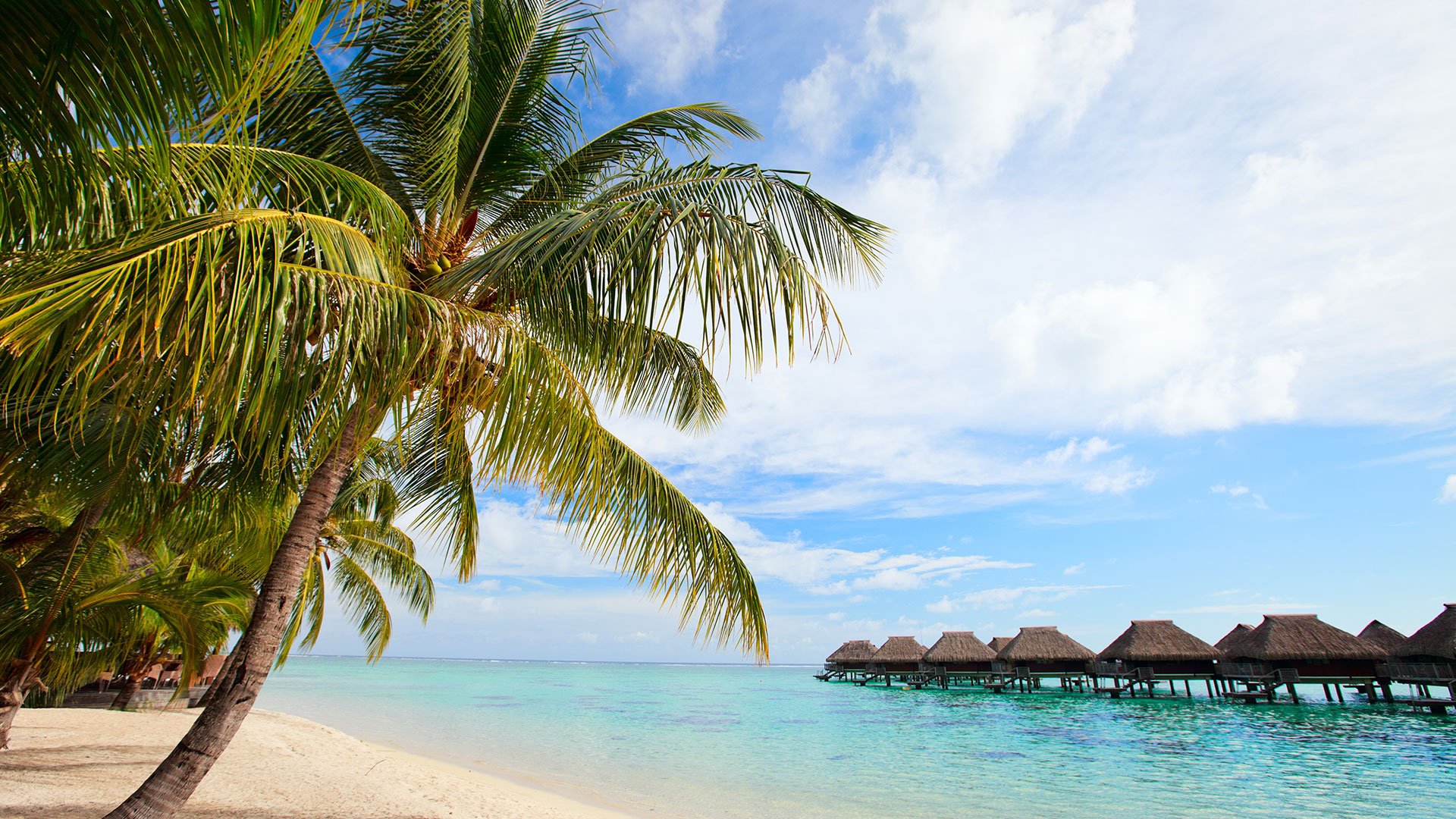Perfect beach on Moorea