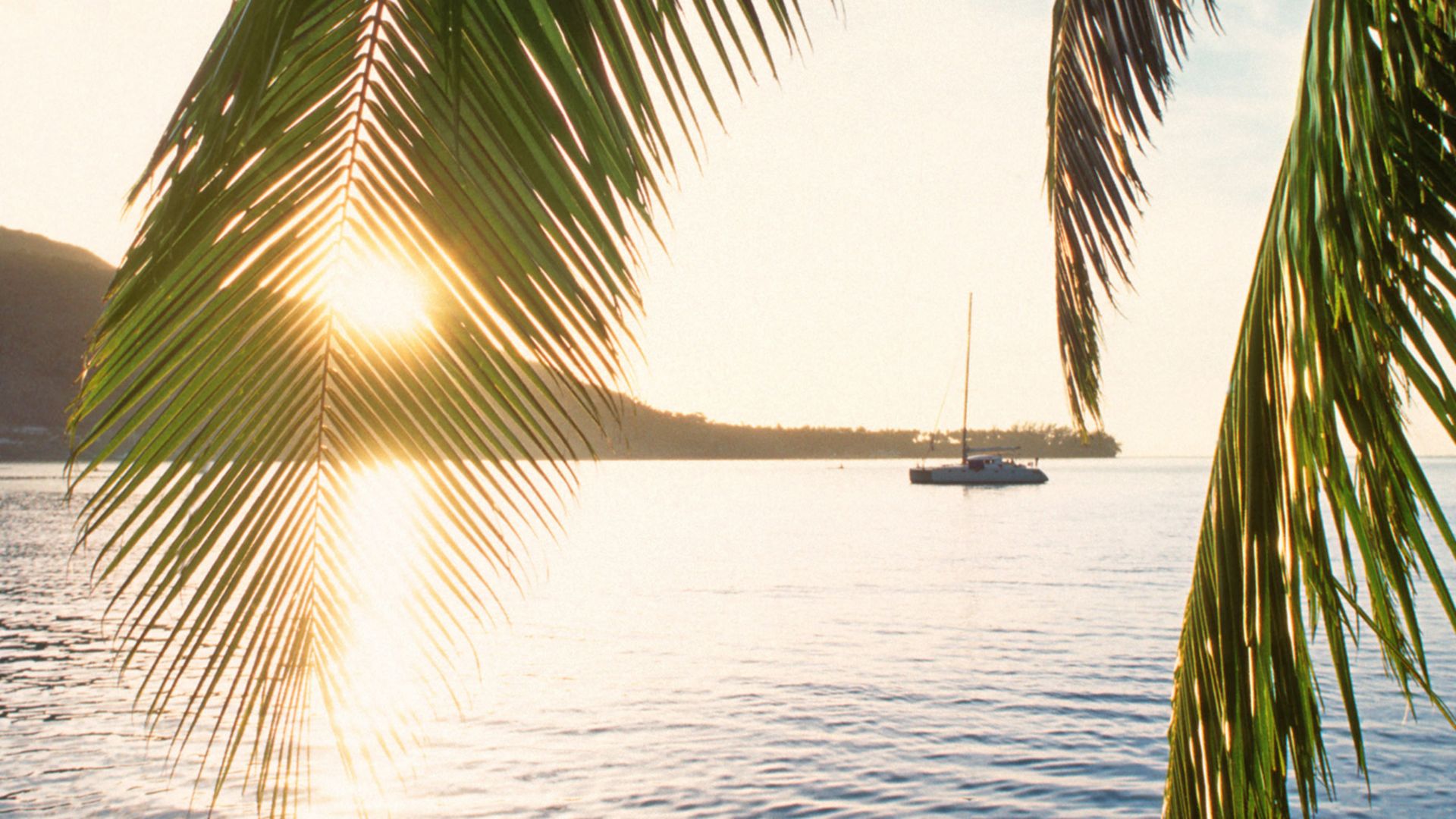 Auf einer Reise zu den Delfinen von Moorea
