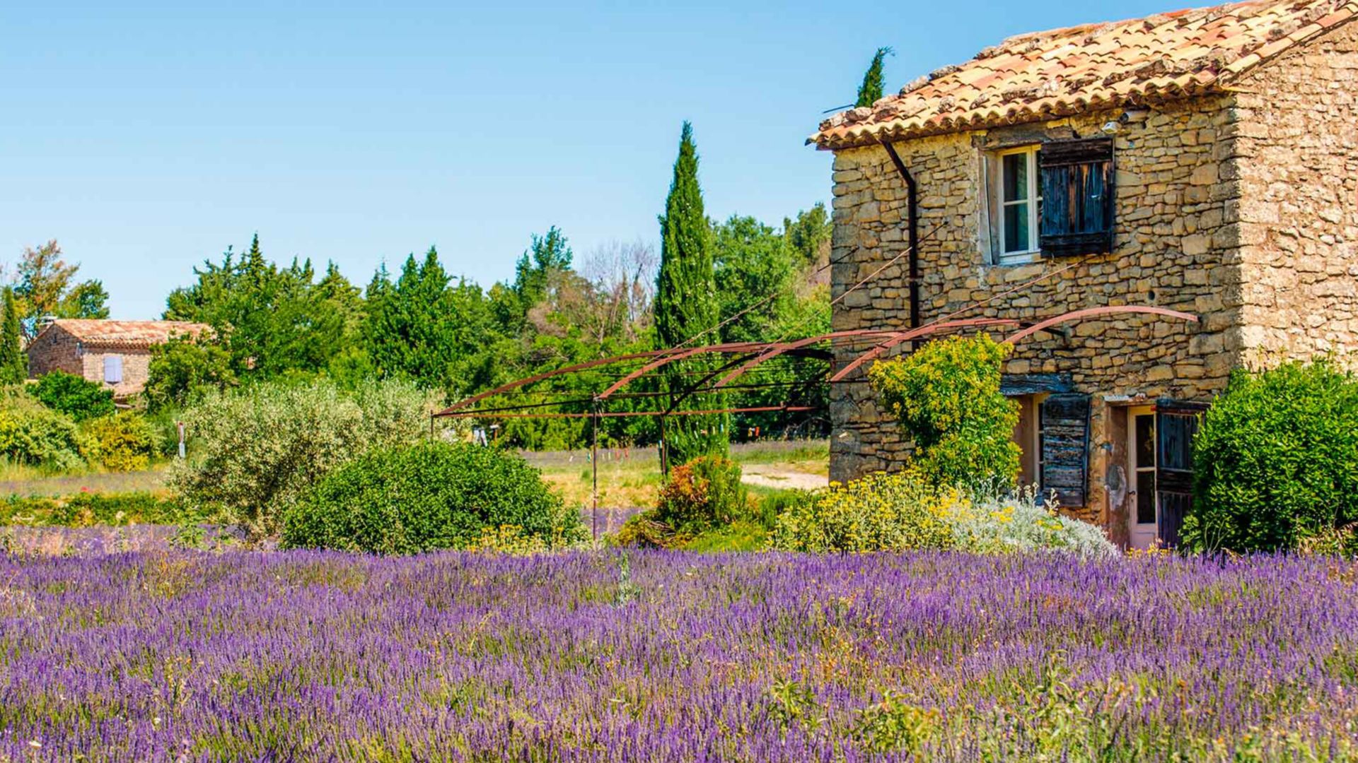 Landschaft der Provence und Lavendel-Museum