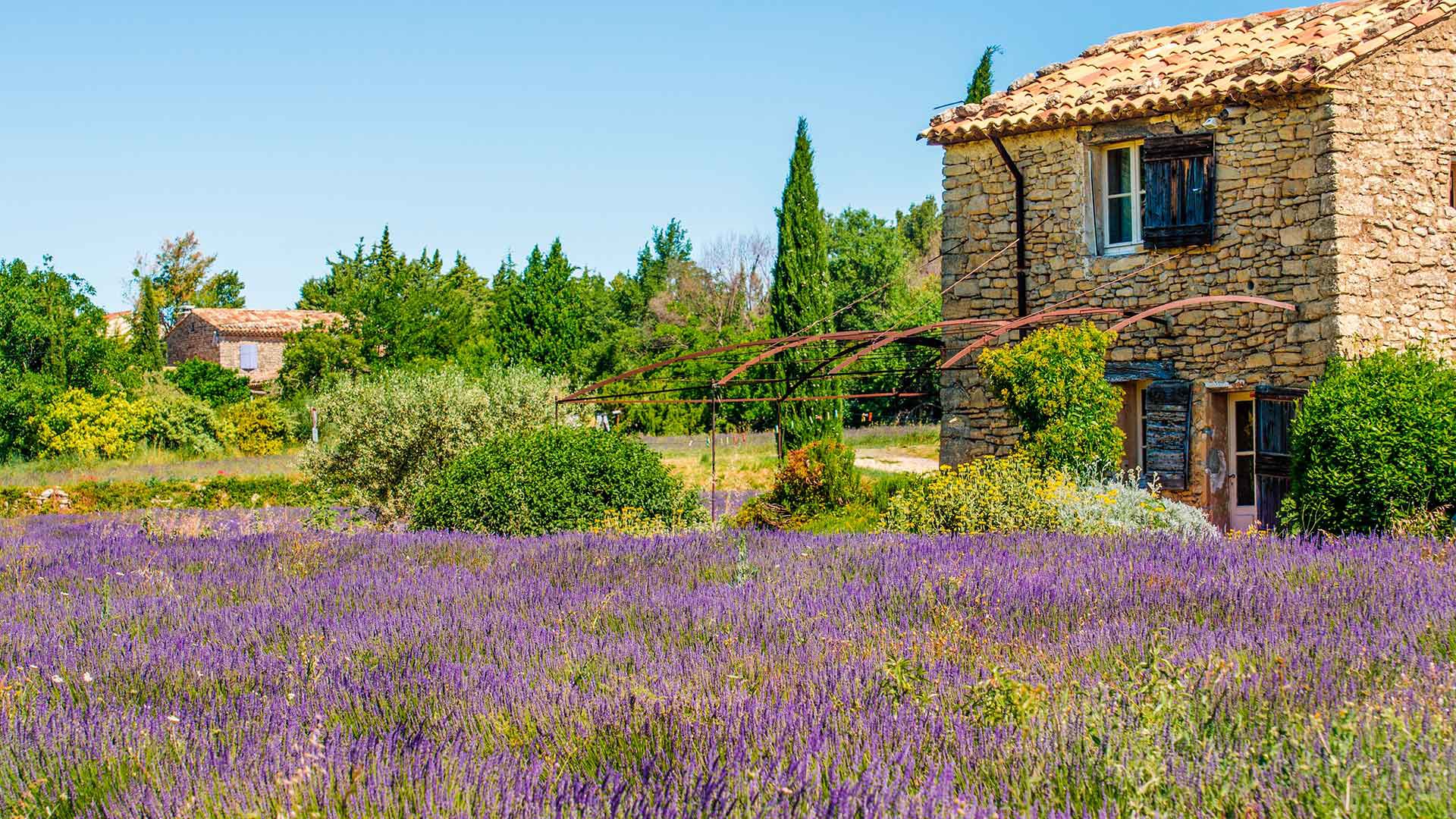 Landschaft der Provence und Lavendel-Museum