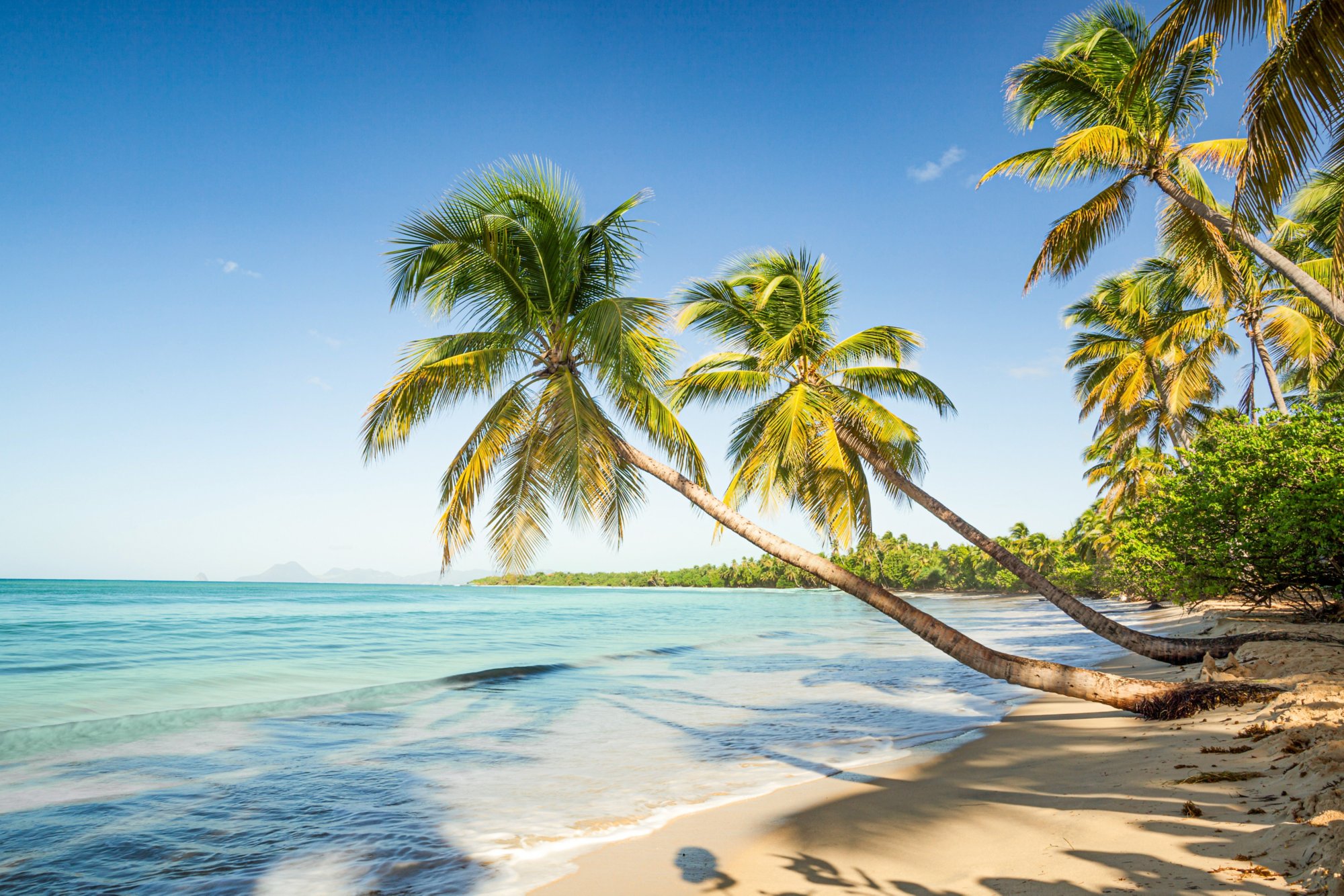 Sonne, Strand und Meer