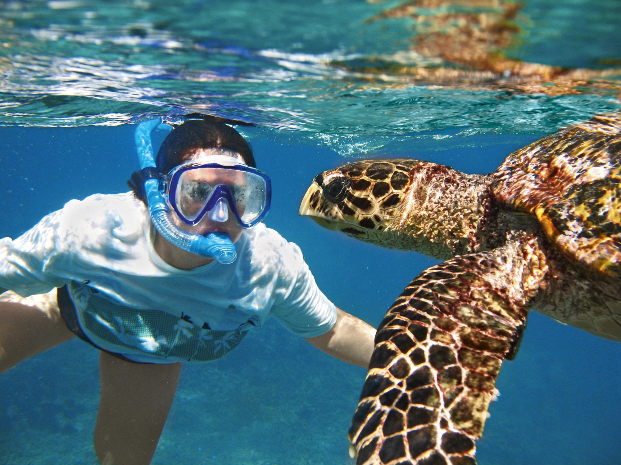 Auf Schildkrötensafari mit dem Katamaran