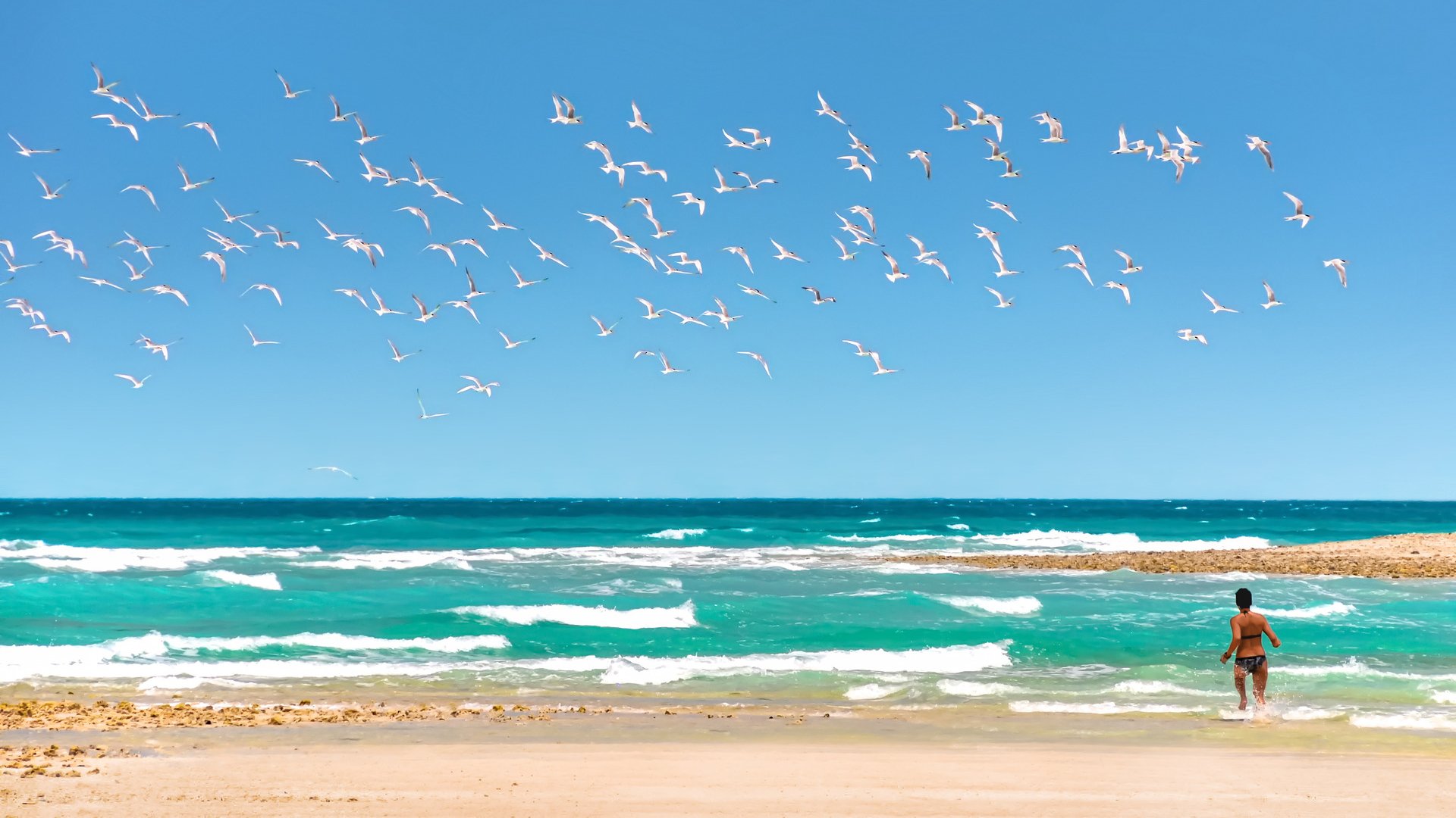 A Girl Chasing Birds in Quite Island in Abu Dhabi,UAE