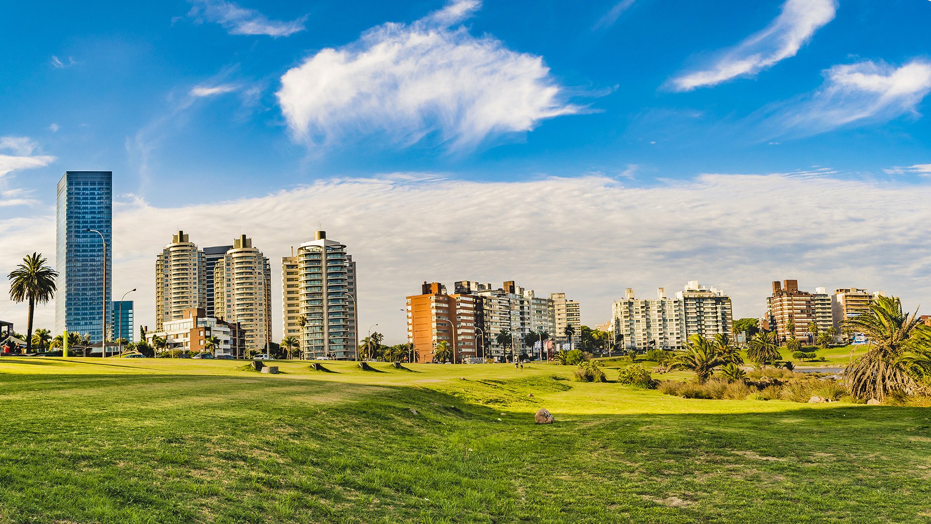 Montevideo Cityscape at Summer Time
