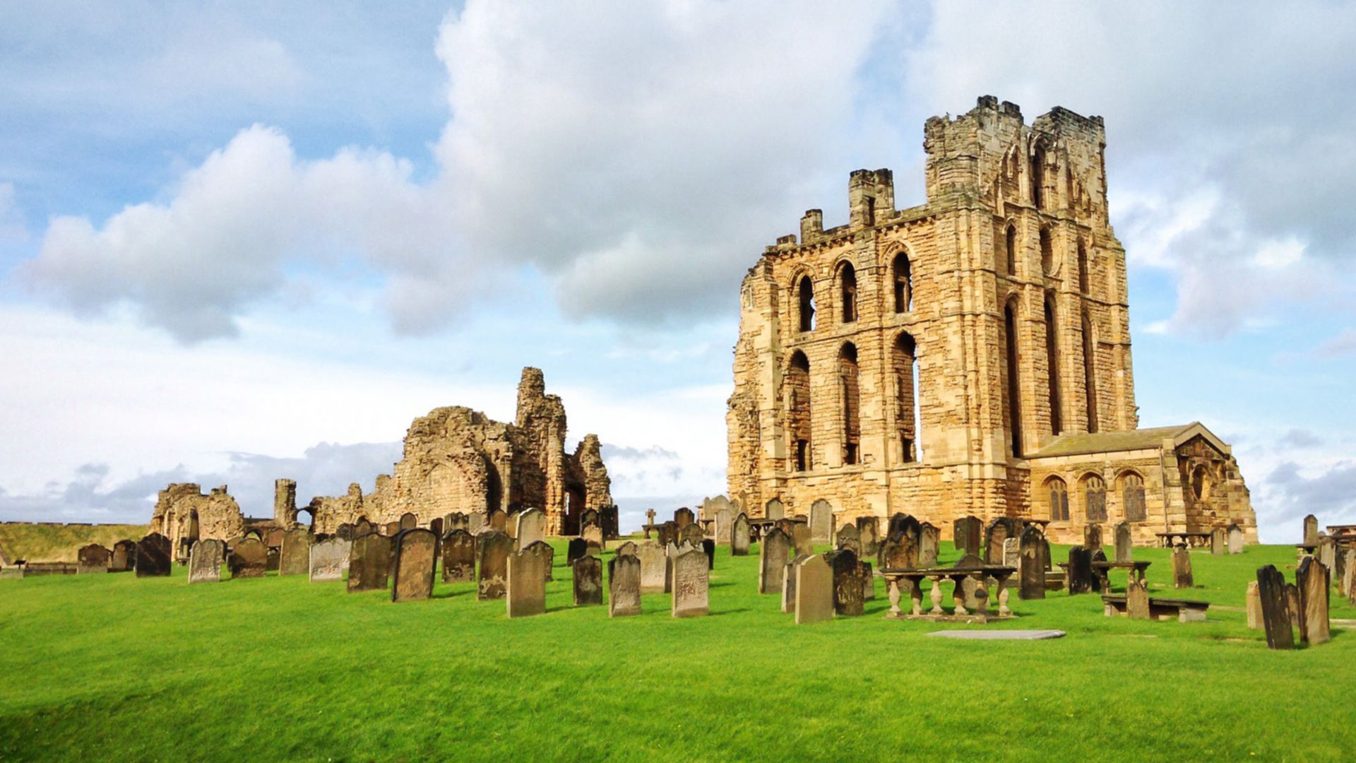 Zu Besuch in den Gärten von Alnwick