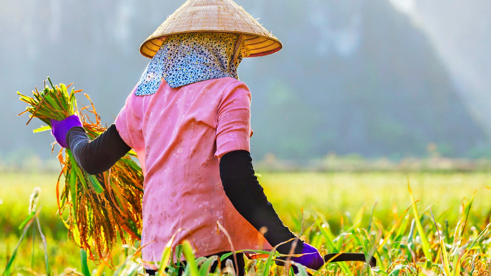 Nha Trangs Umgebung und vietnamesische Lebensart