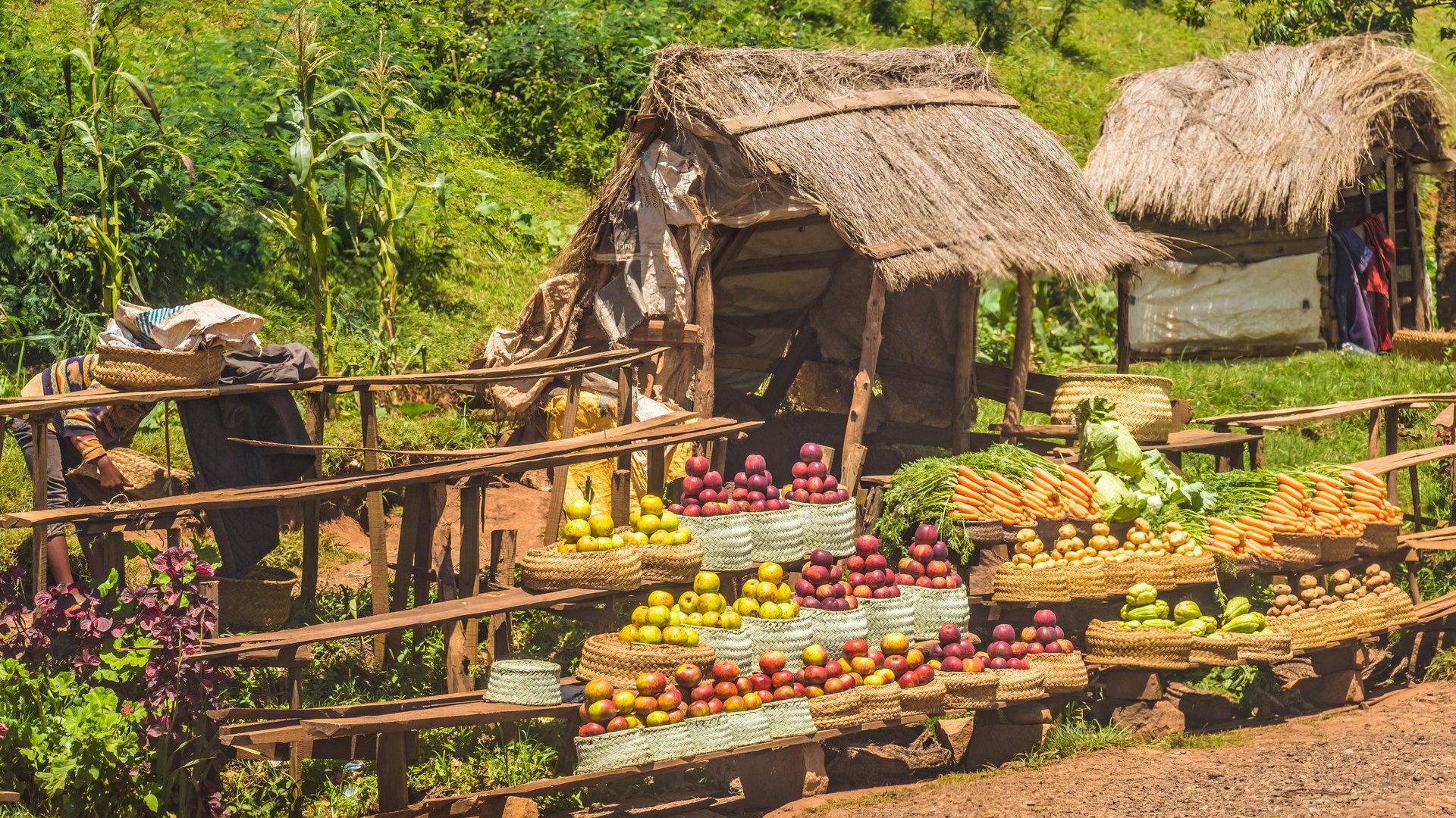 Tropical fruit and vegetable stands along the legendary National Route 7  near Antsirabe, Madagascar