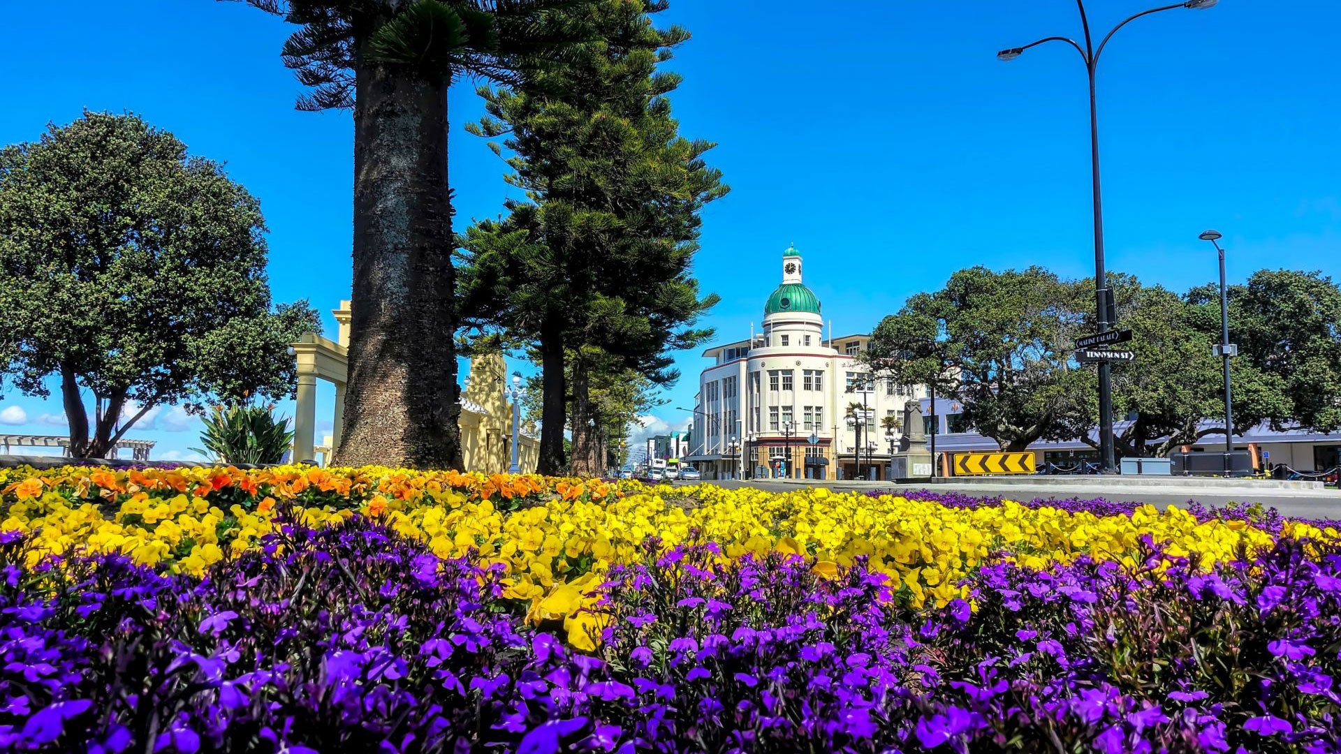 Panoramafahrt durch Napier und seine Umgebung