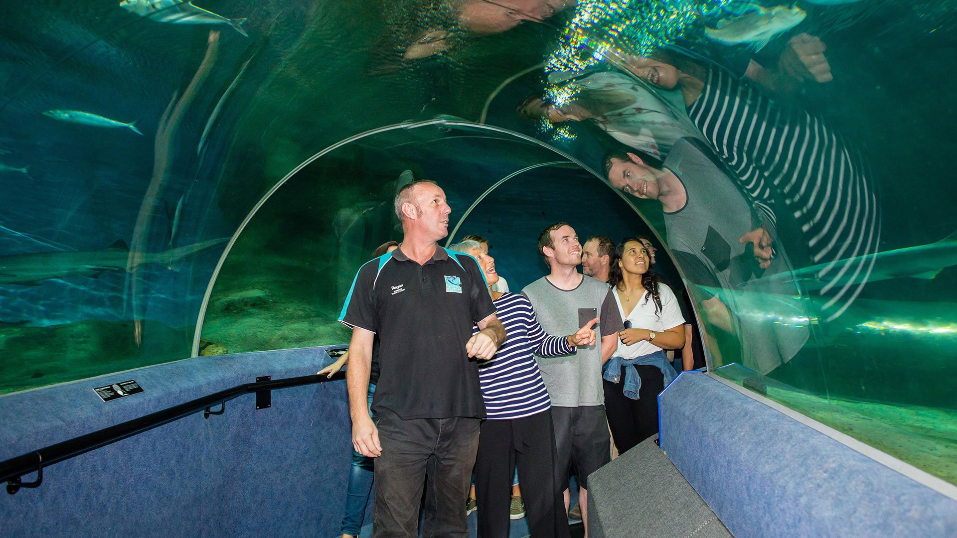 Stadtrundfahrt durch Napier und National Aquarium of New Zealand