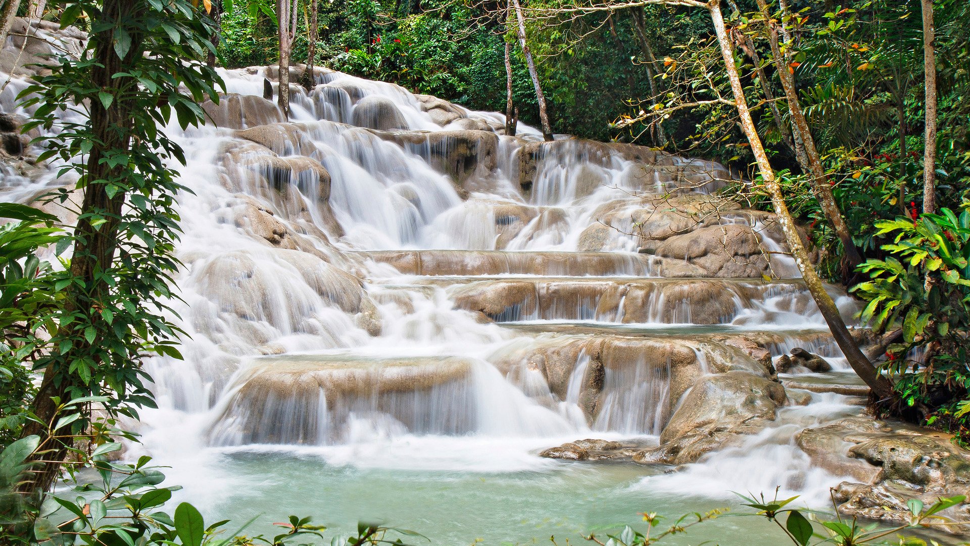 Dunn's River Falls