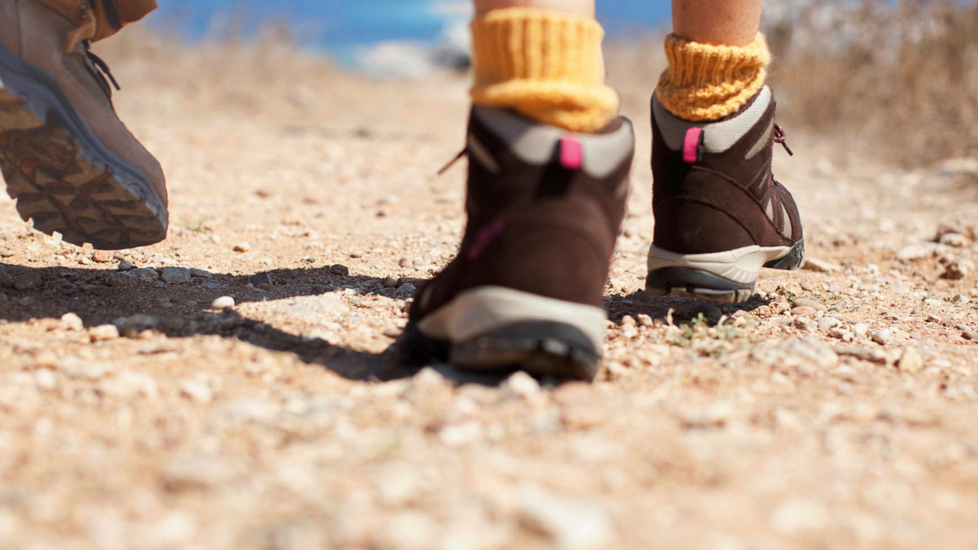 Wanderung auf dem Berg Hoven