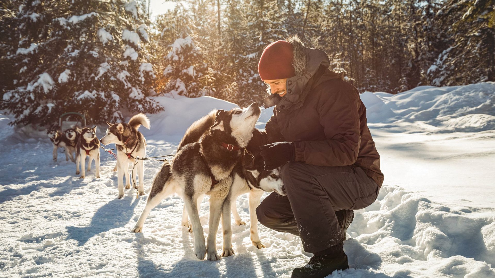 Besuch bei den Huskies