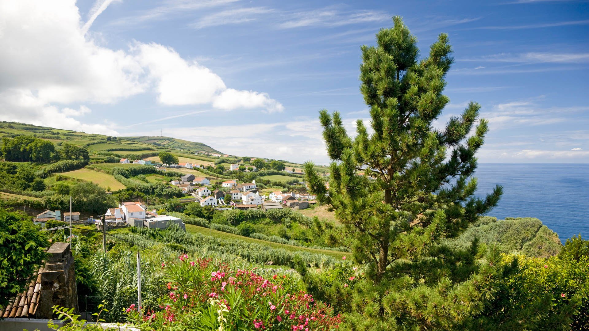 Beautiful view down the Coast of San Miguel, Azores Island. Small Village close to the Atlantic Ocean. San Miguel Island, Azores, Portugal.