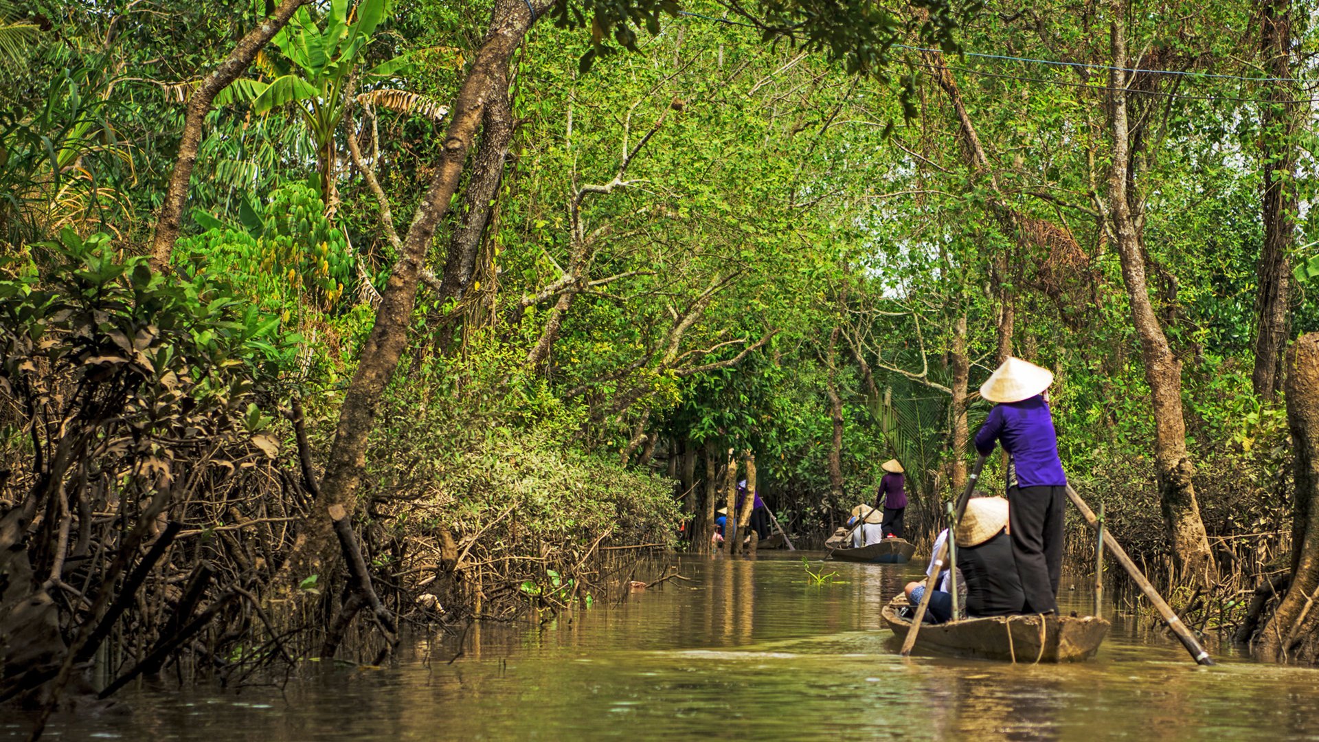 A ride in delta mekong