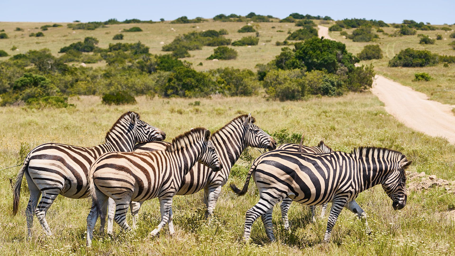 Zu Besuch im Pumba Wildtierreservat