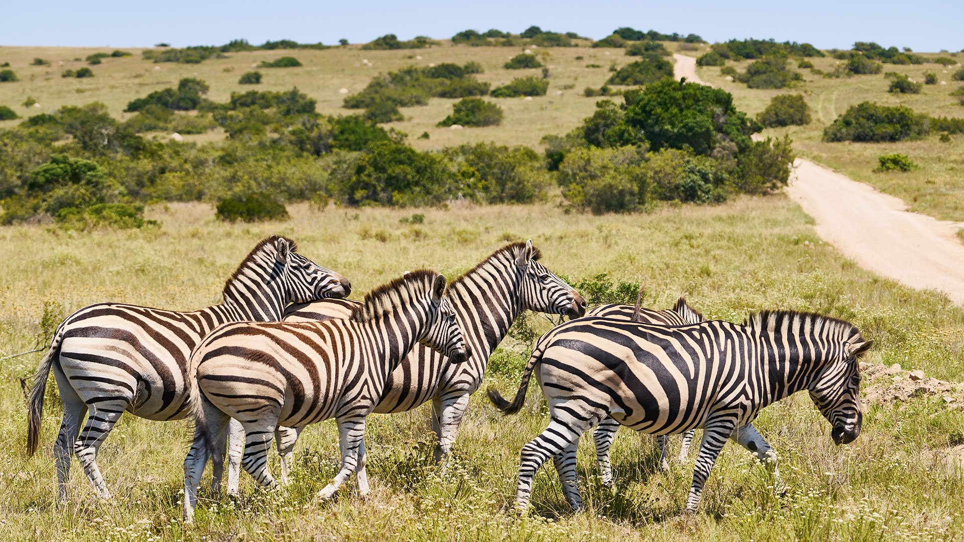 Zu Besuch im Pumba Wildtierreservat