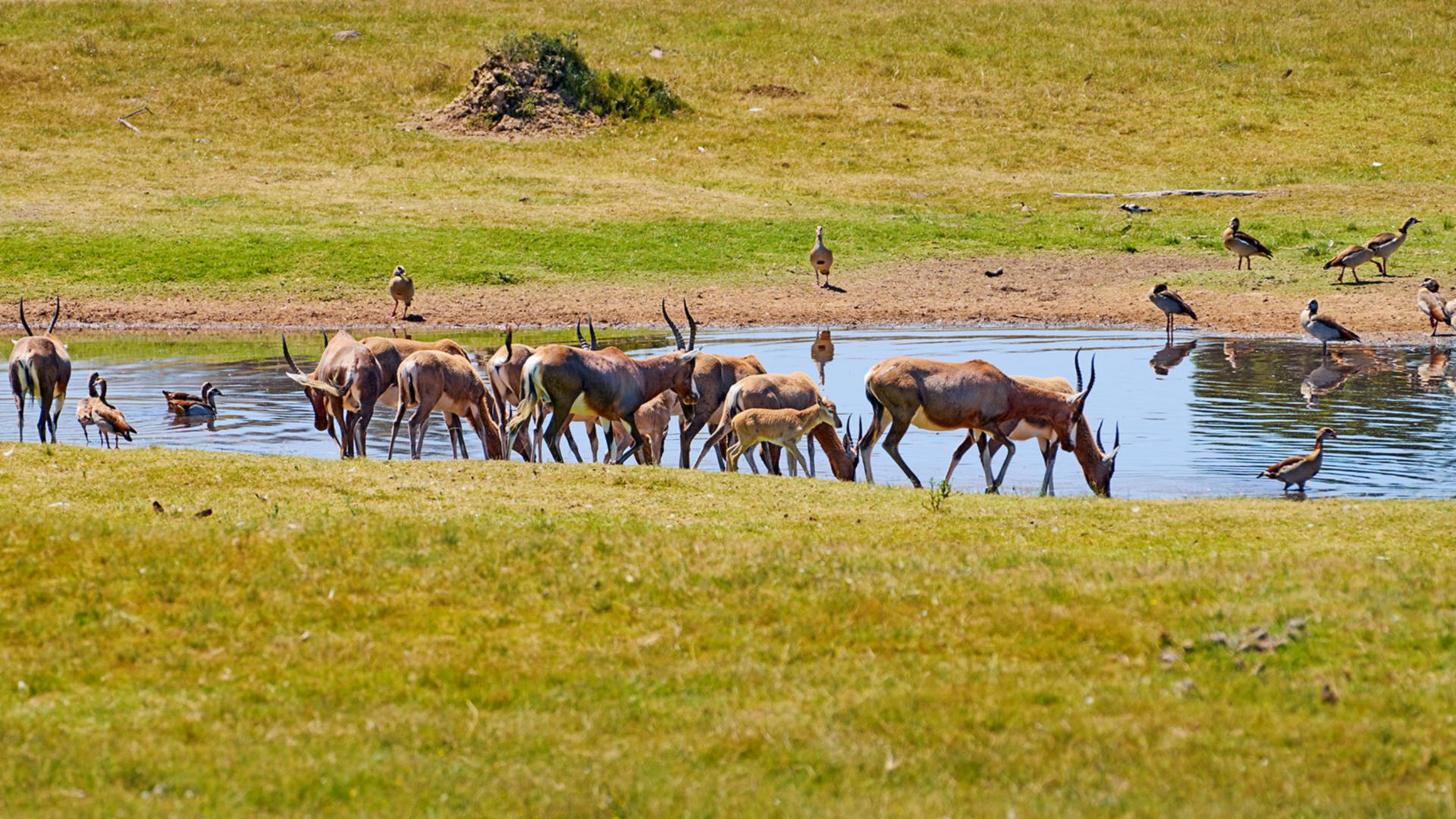 Auf Safari unterwegs im Sibuya Reservat