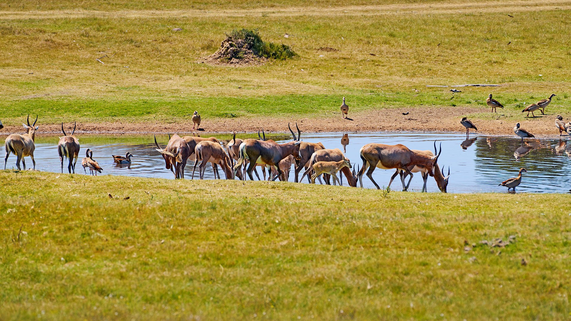 Auf Safari unterwegs im Sibuya Reservat 