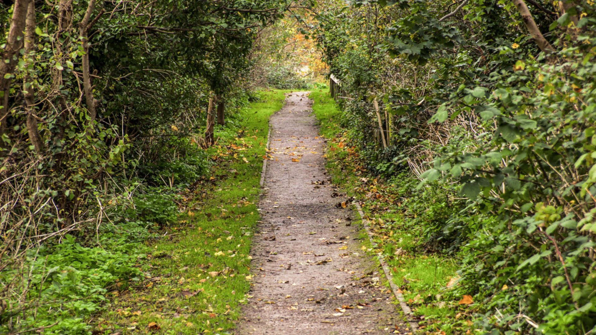 Erkundungstour durch die königlichen Gärten von Wisley