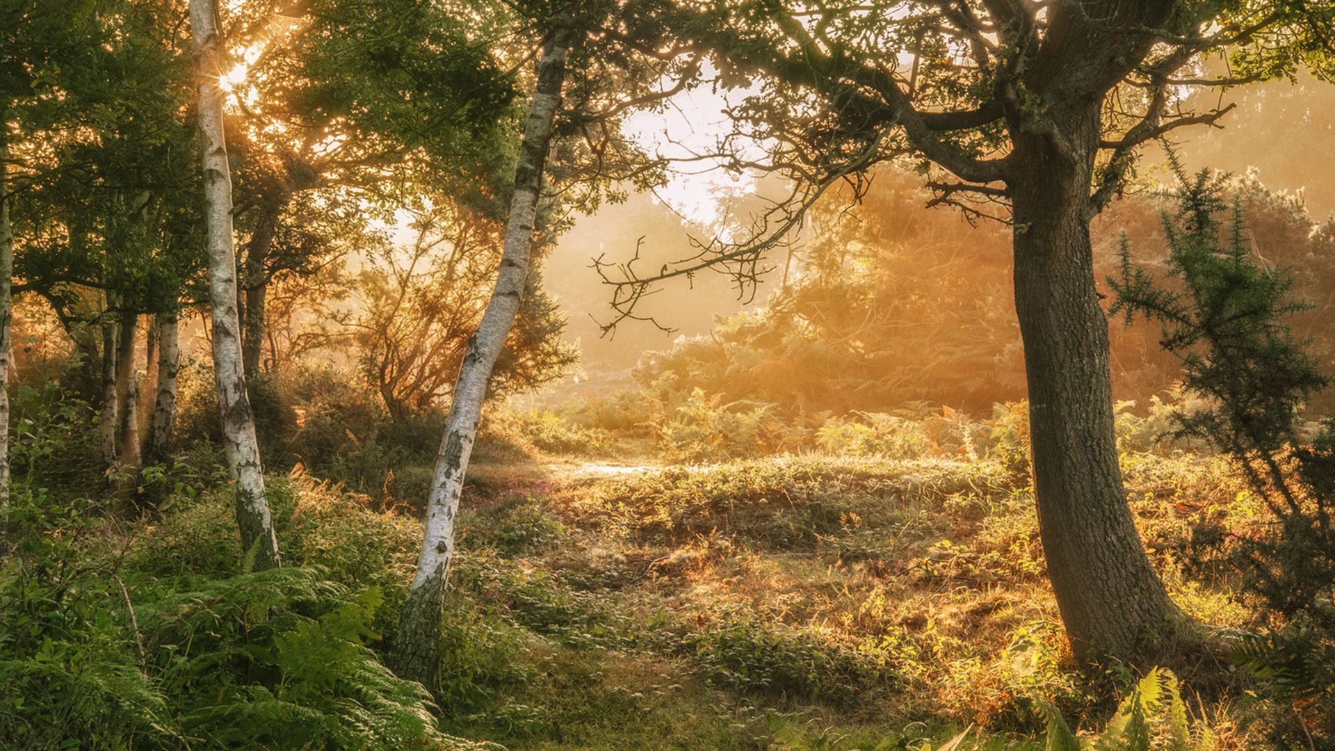 Komm an Land: Landschaftsfahrt durch Hampshire