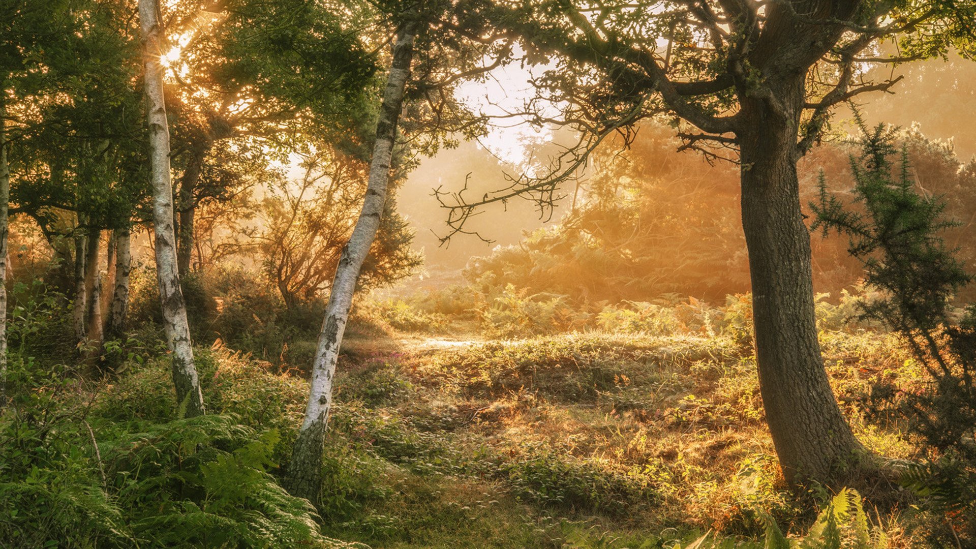Komm an Land: Landschaftsfahrt durch Hampshire