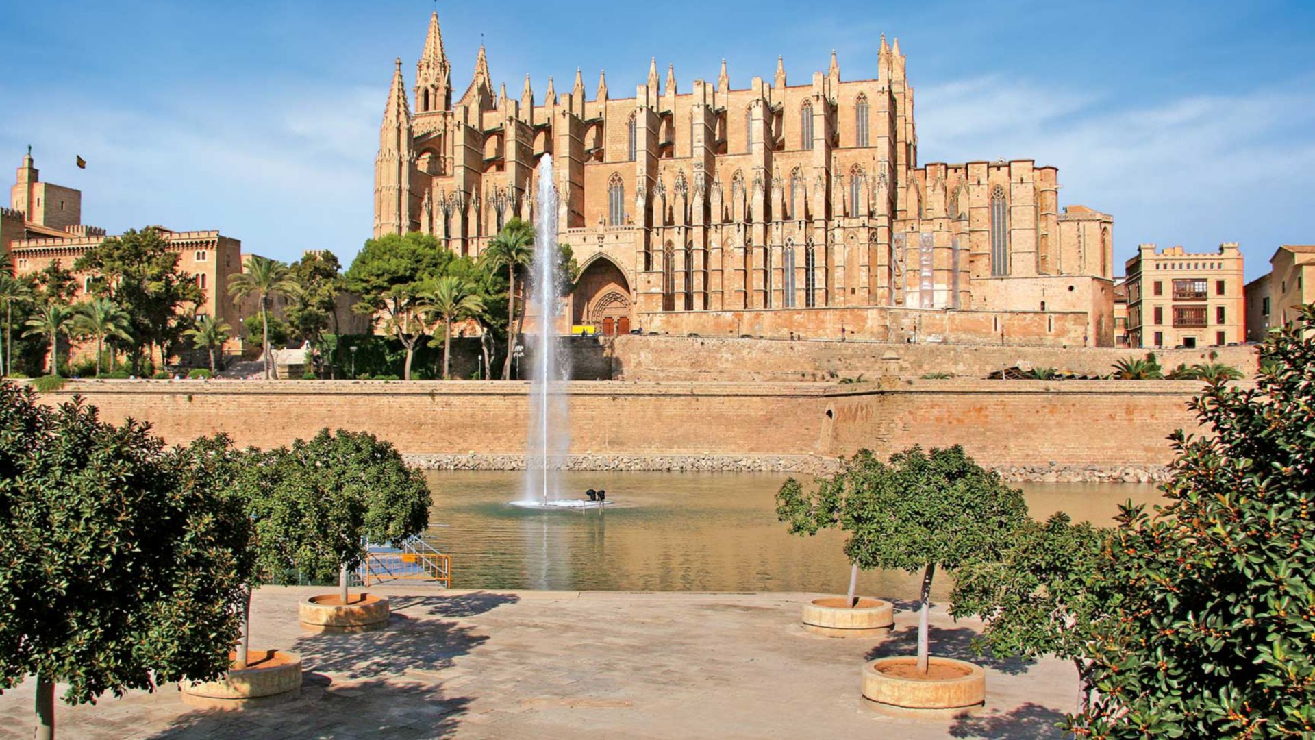 Komm an Land: Palma kompakt