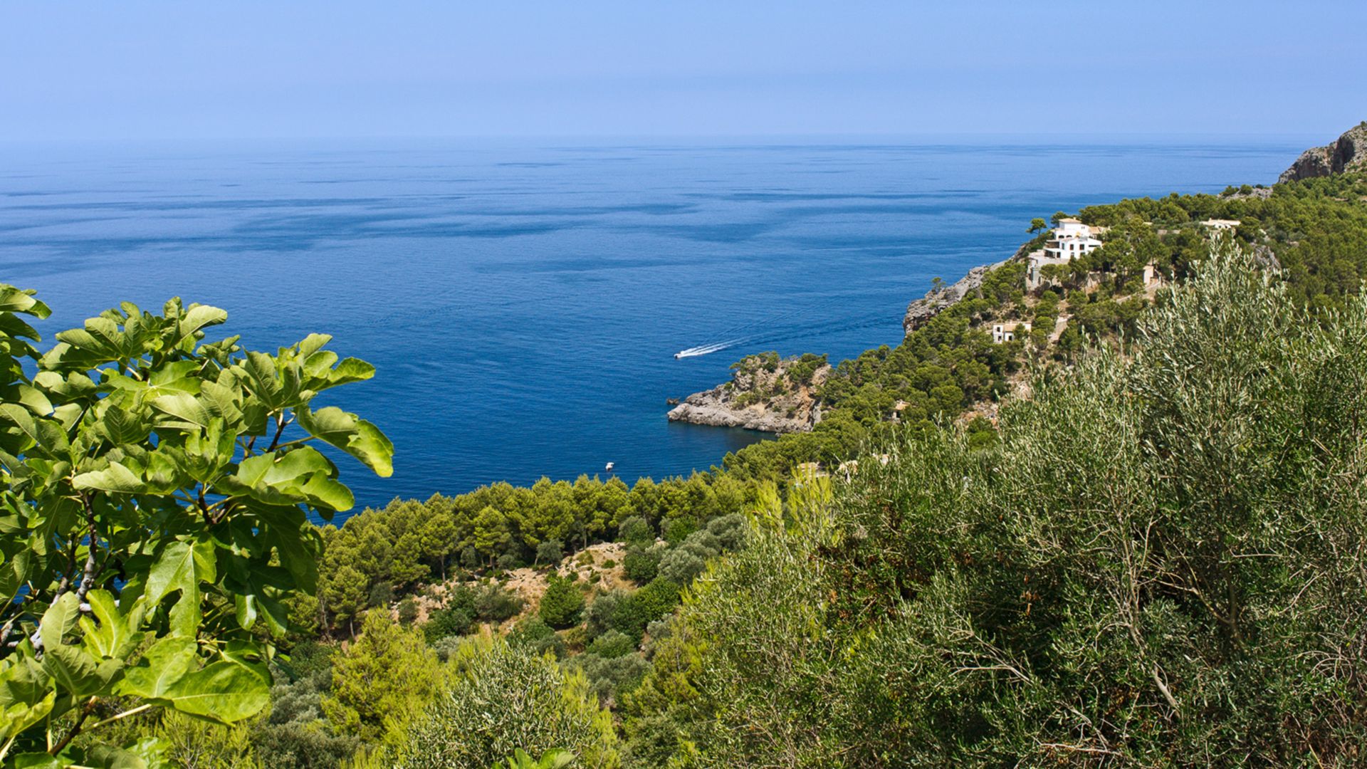 Morgenwanderung durch das Tramuntana Gebirge