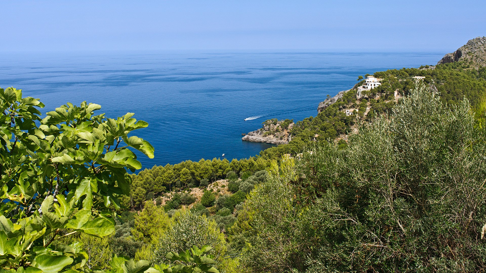 Morgenwanderung durch das Tramuntana Gebirge