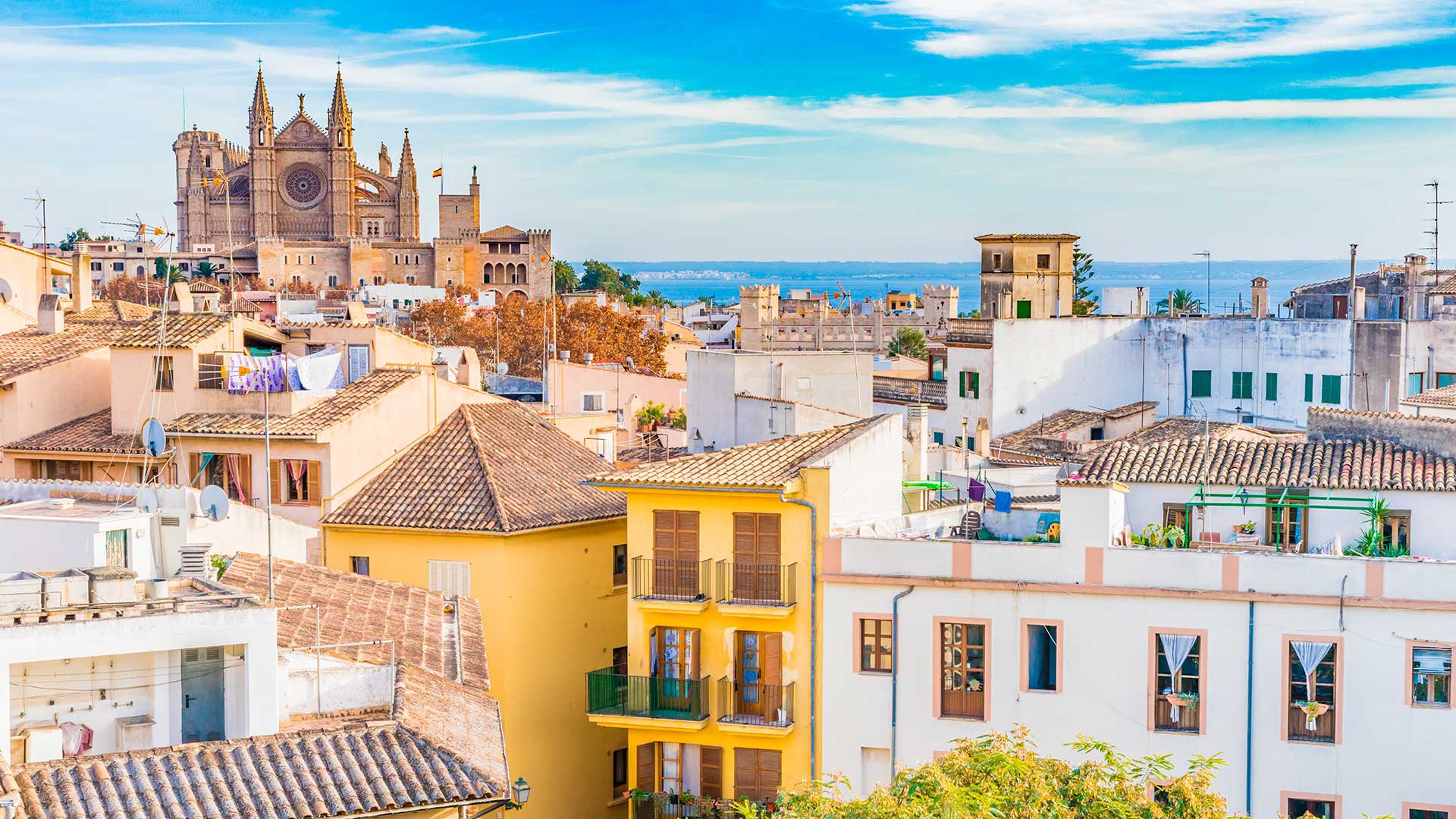 Ansicht Palma Mallorca Altstadt Kathedrale