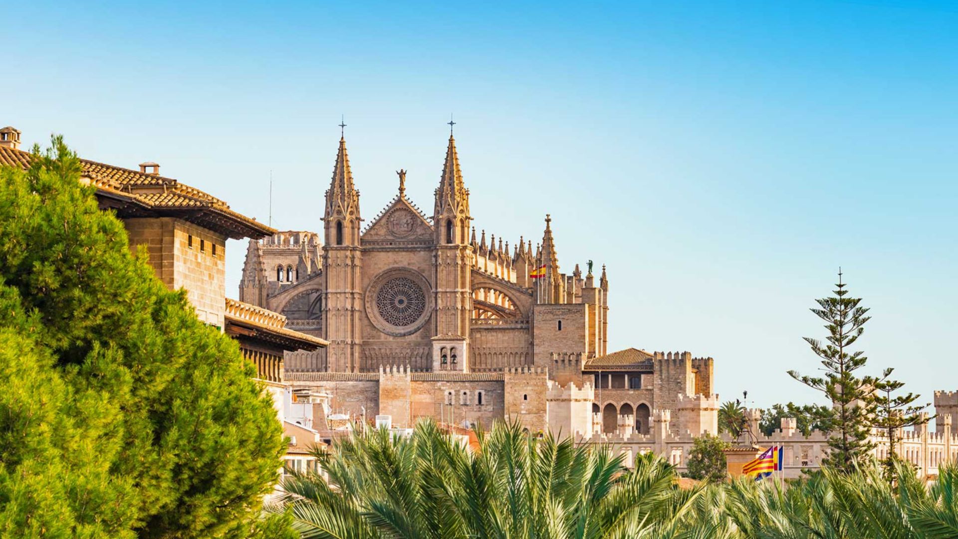 PRIVAT-Tour: Palma de Mallorca - halbtags - Van