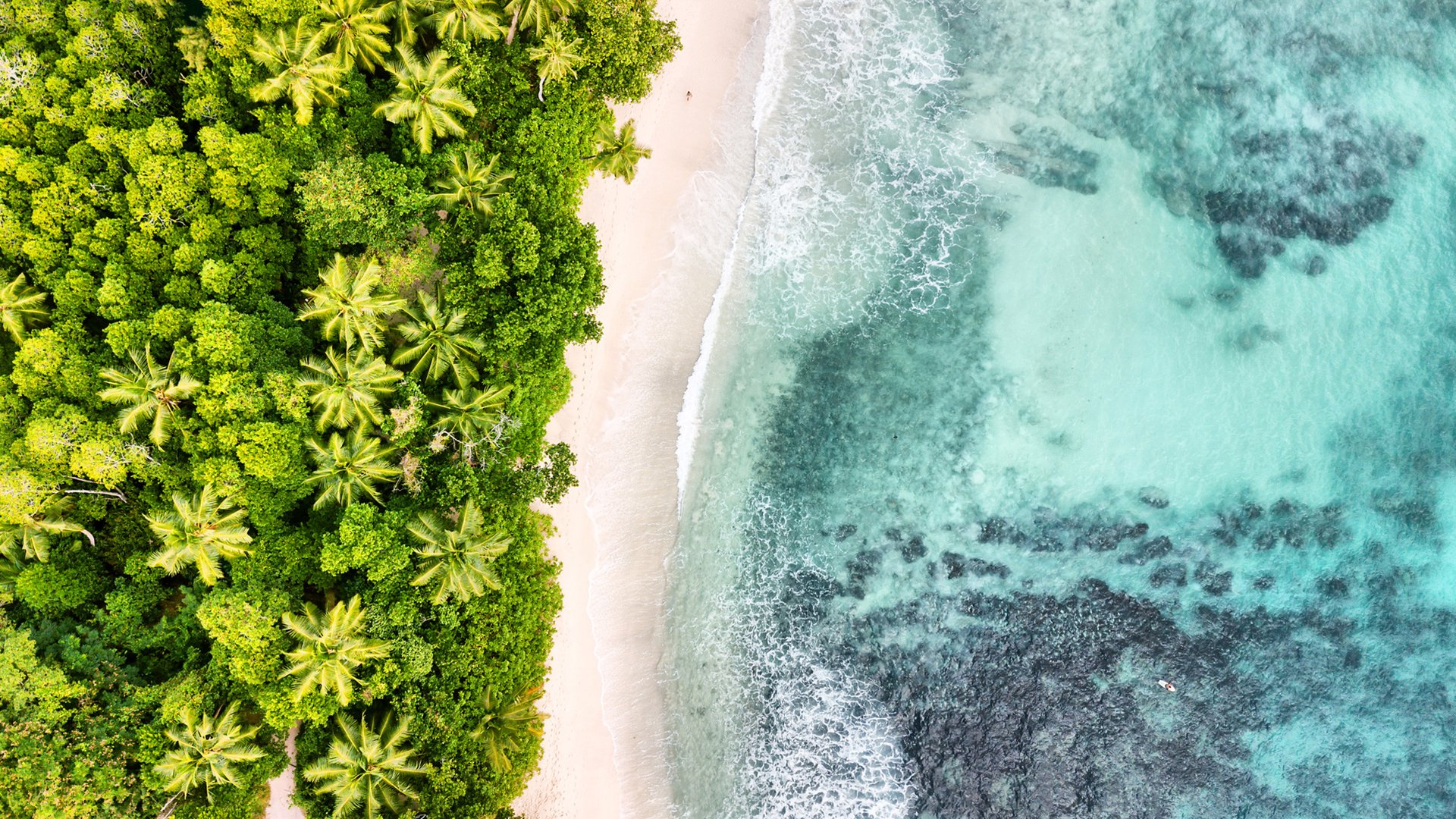 Aerial view of Anse Takamaka -  Mahe Island - Seychelles