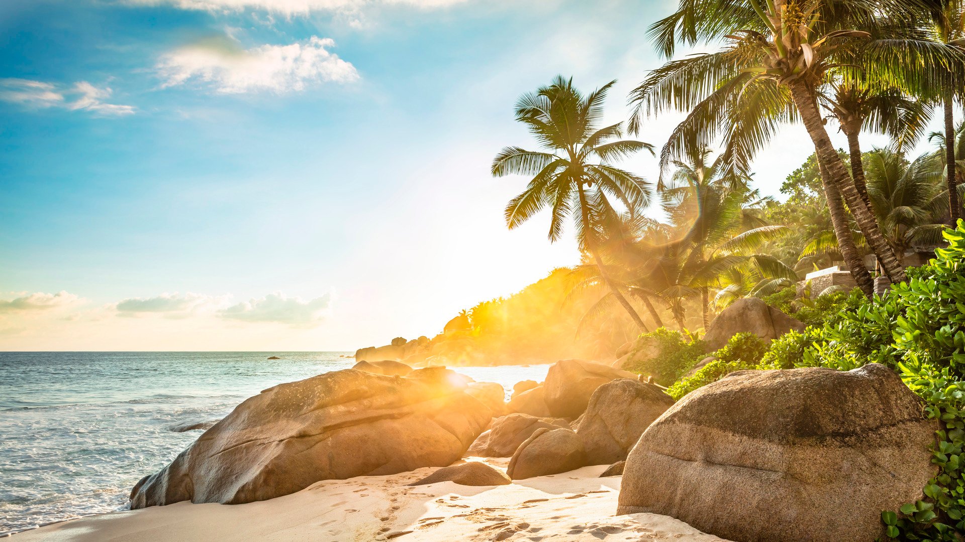 Sunlight Over Palm Trees On Anse Intendance Beach, Mahe Island, Seychelles