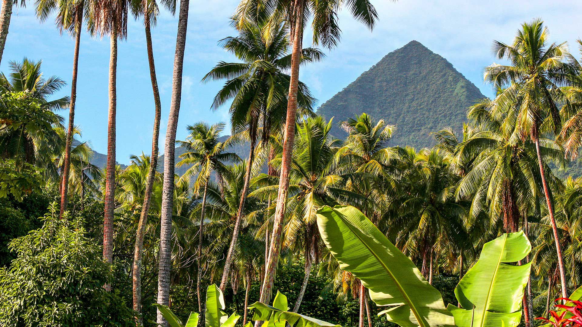 Tahitis Inselwelt im Geländewagen erkunden