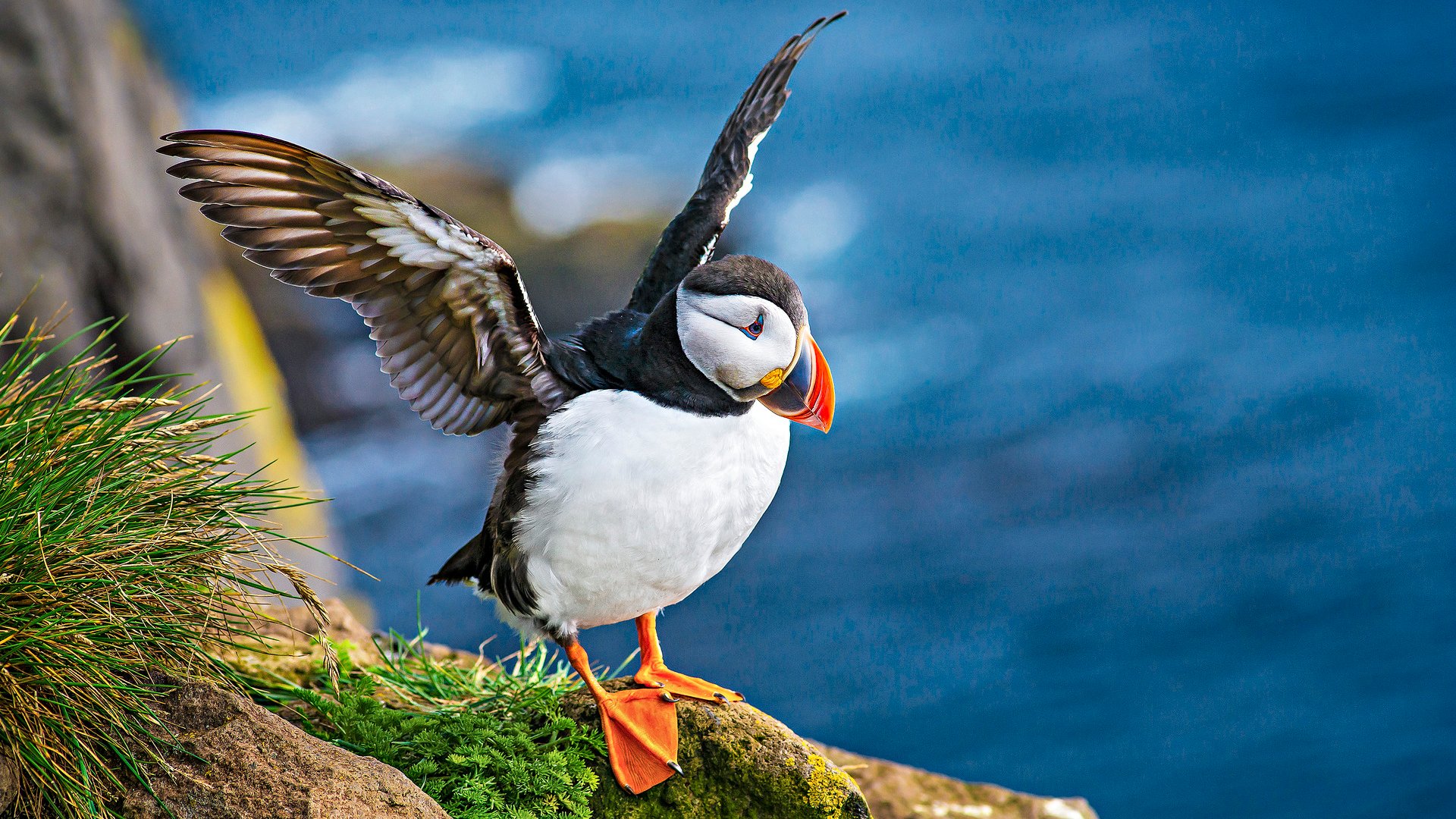 500px Photo ID: 81520361 - Photos from Iceland