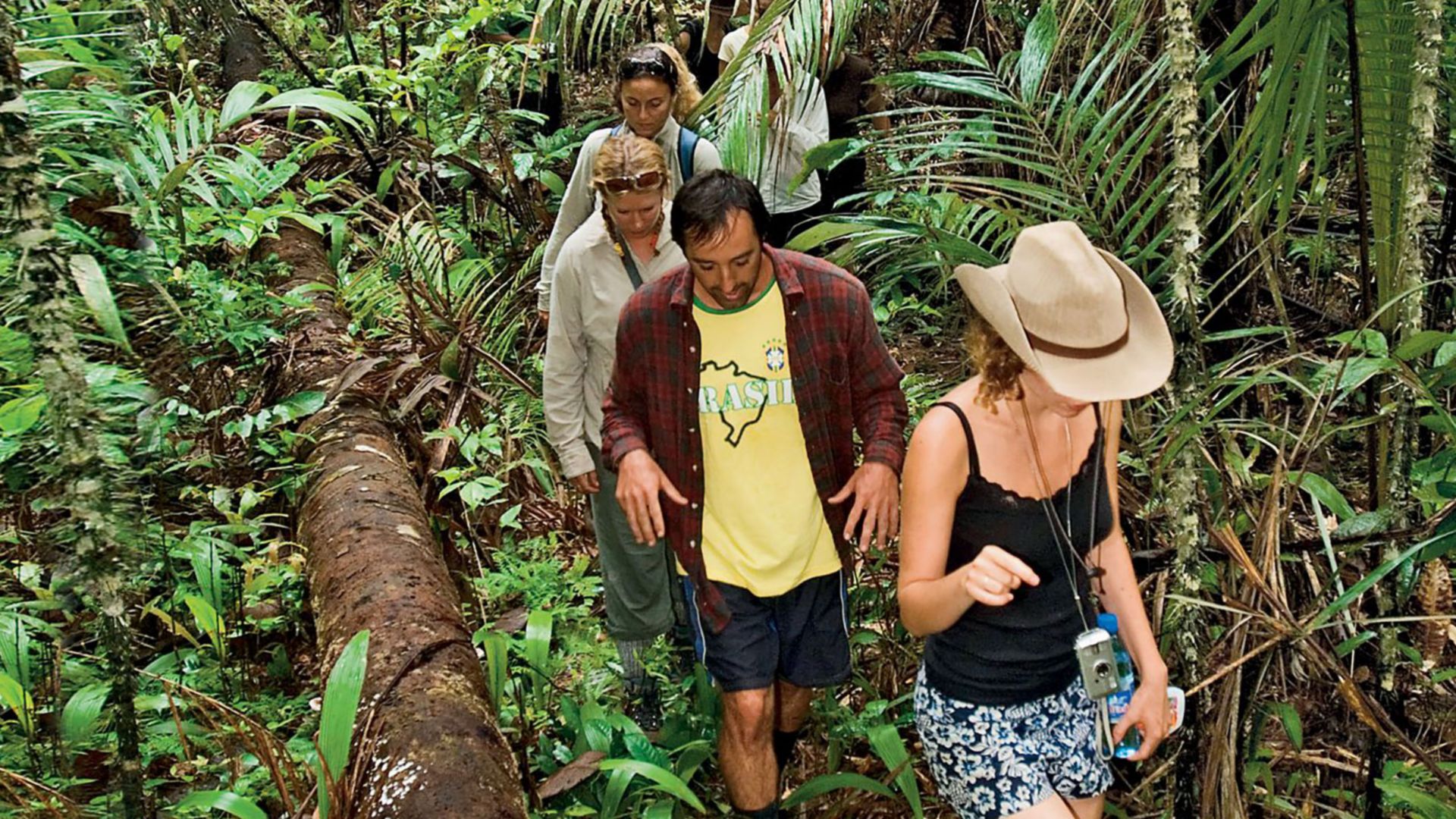 Wanderung im Tijuca Nationalpark