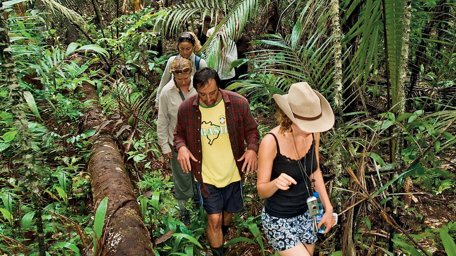 Wanderung im Tijuca Nationalpark