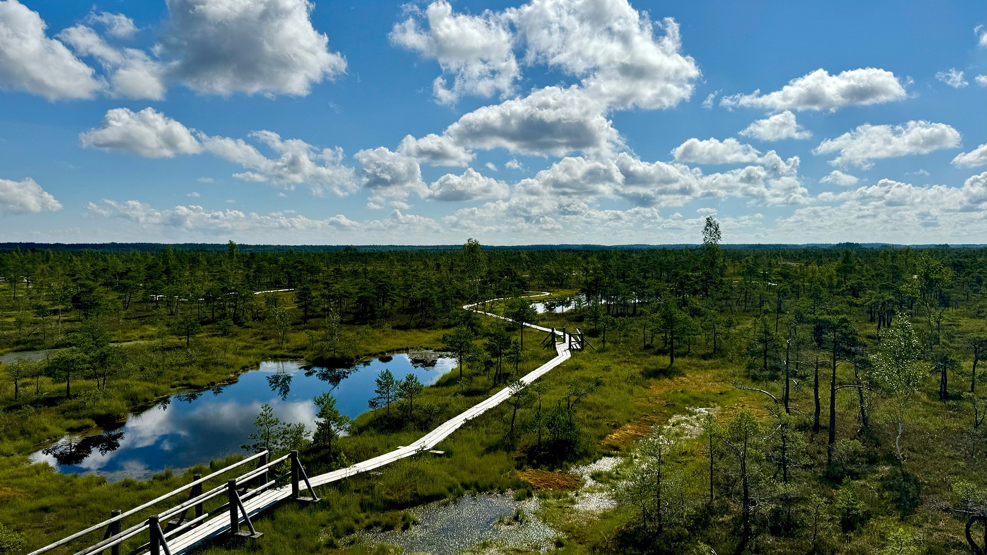 Leichte Wanderung im Kemeri Nationalpark