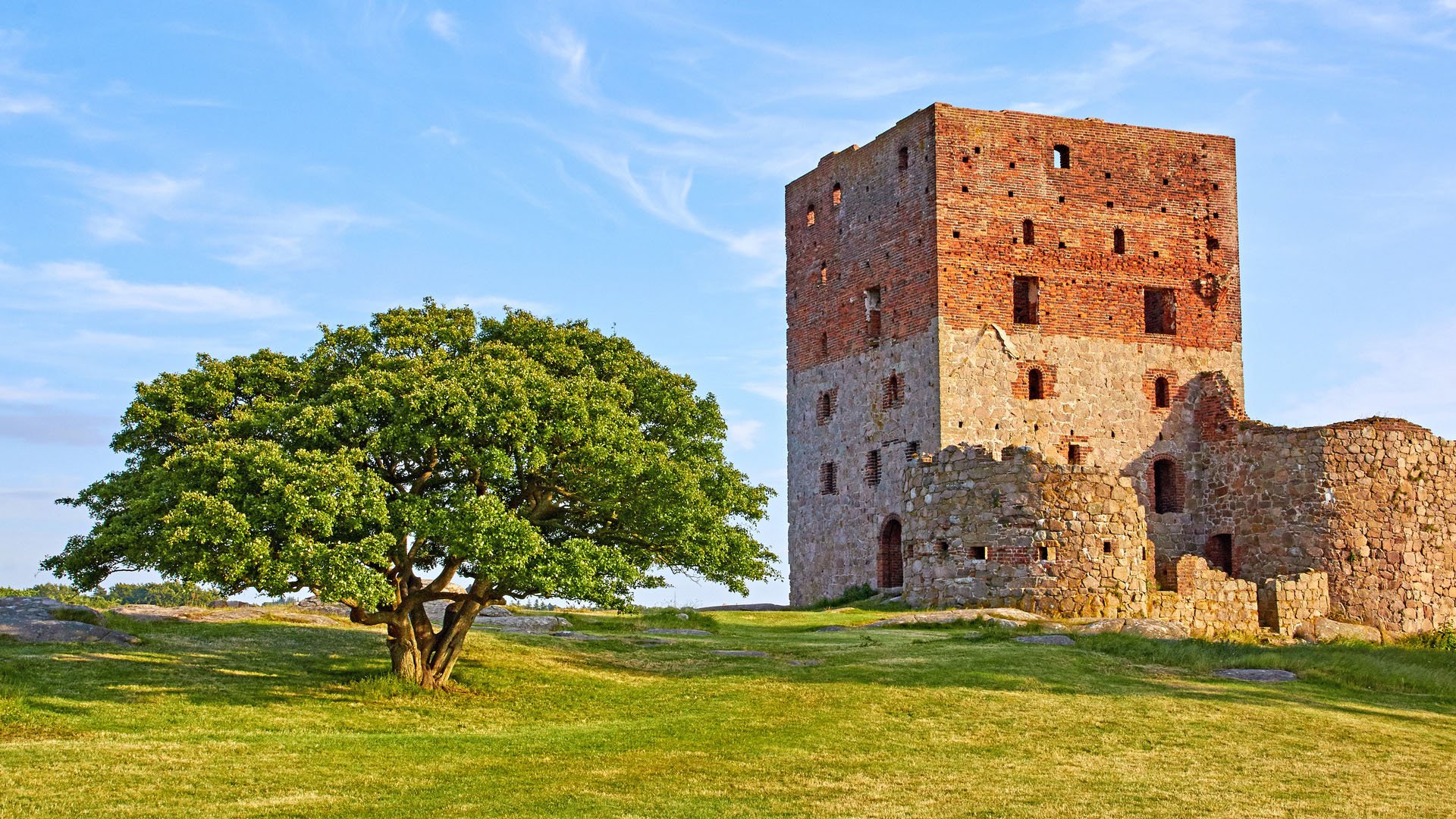 The tower of the ancient danish castle ruin on Bornholm, situated next to an old beautiful oak tree