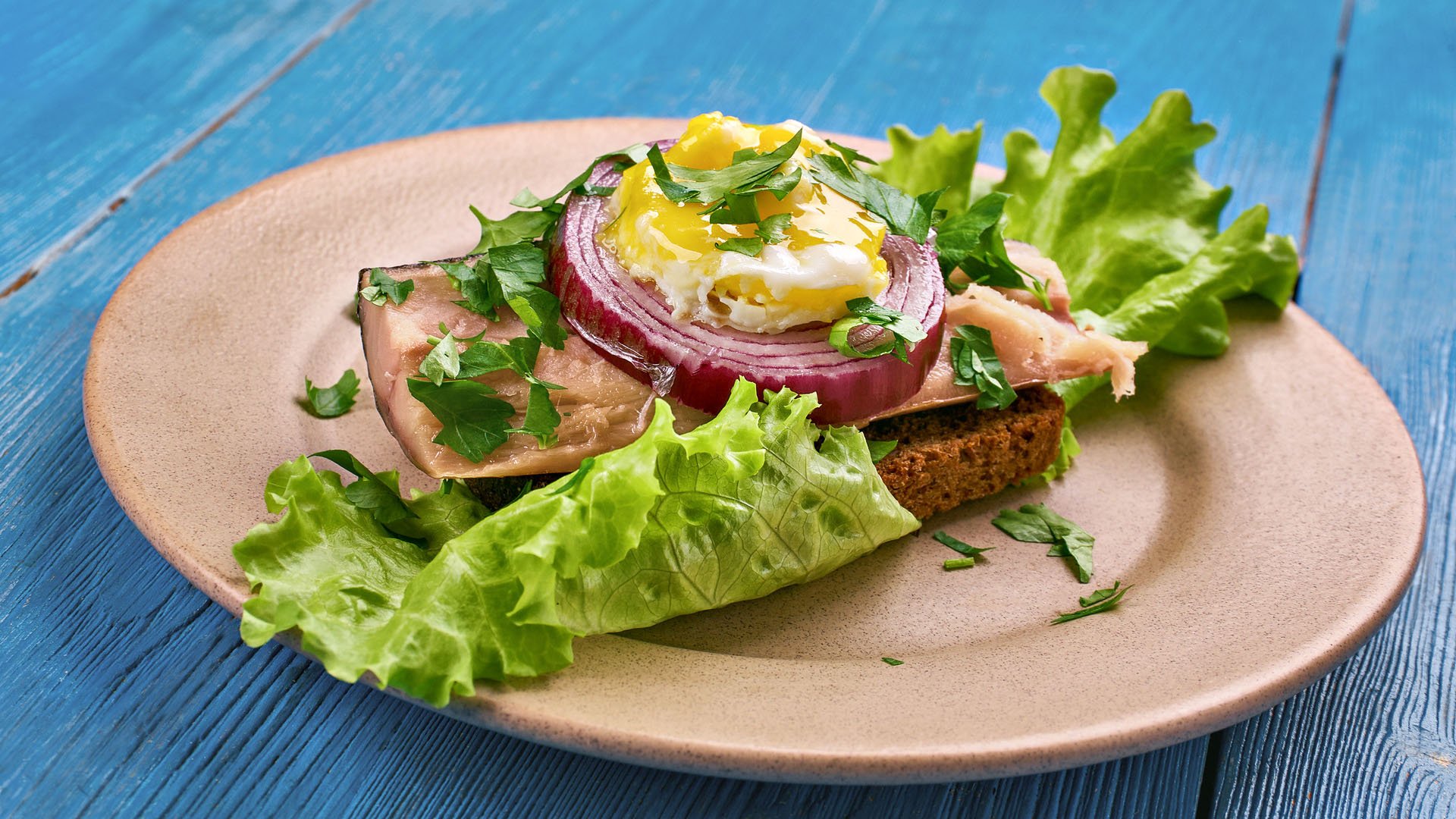 Sol over Gudhjem - Danish dish, an open sandwich with rugbrod, smoked herring, chives and a raw egg yolk, Danish cuisine