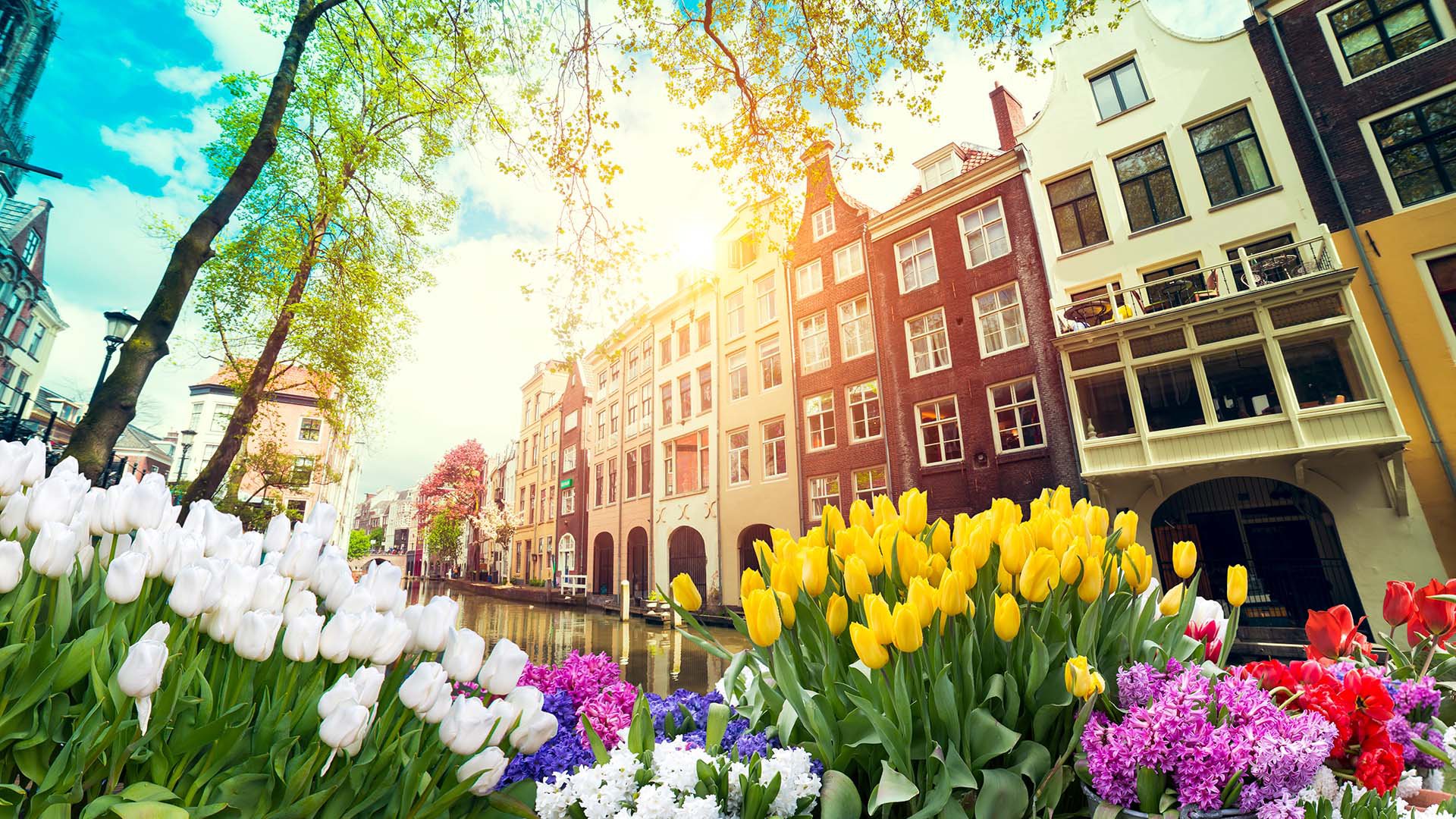 Amsterdam auf eigene Faust