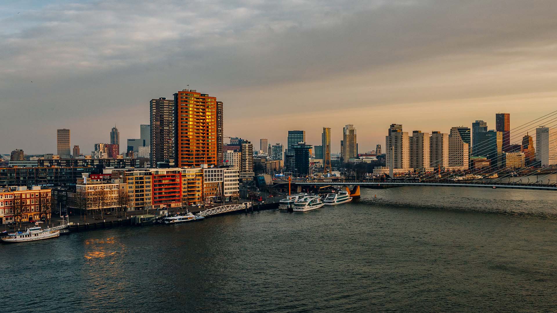 Panoramafahrt durch Rotterdam mit Aussichtsturm Euromast
