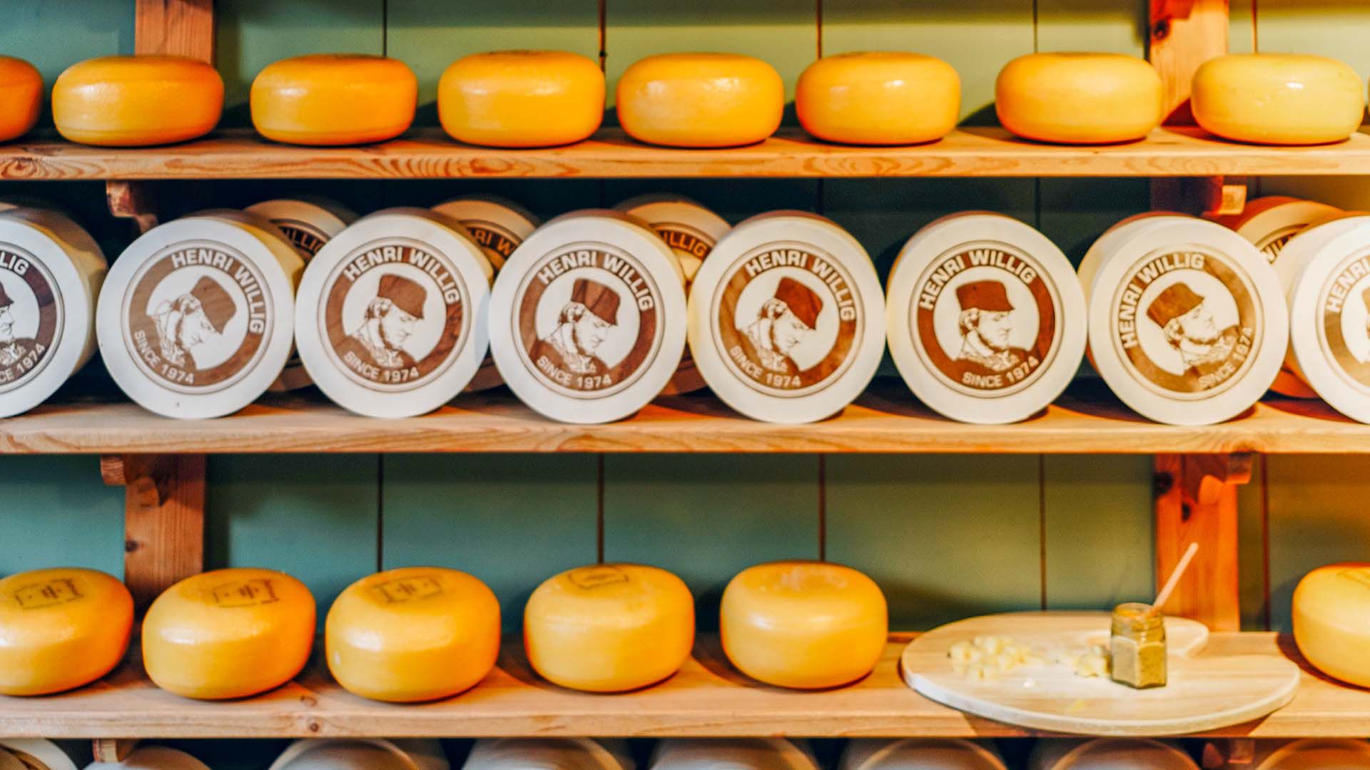 Kultur mit Käse: Meierei-Besuch in Gouda