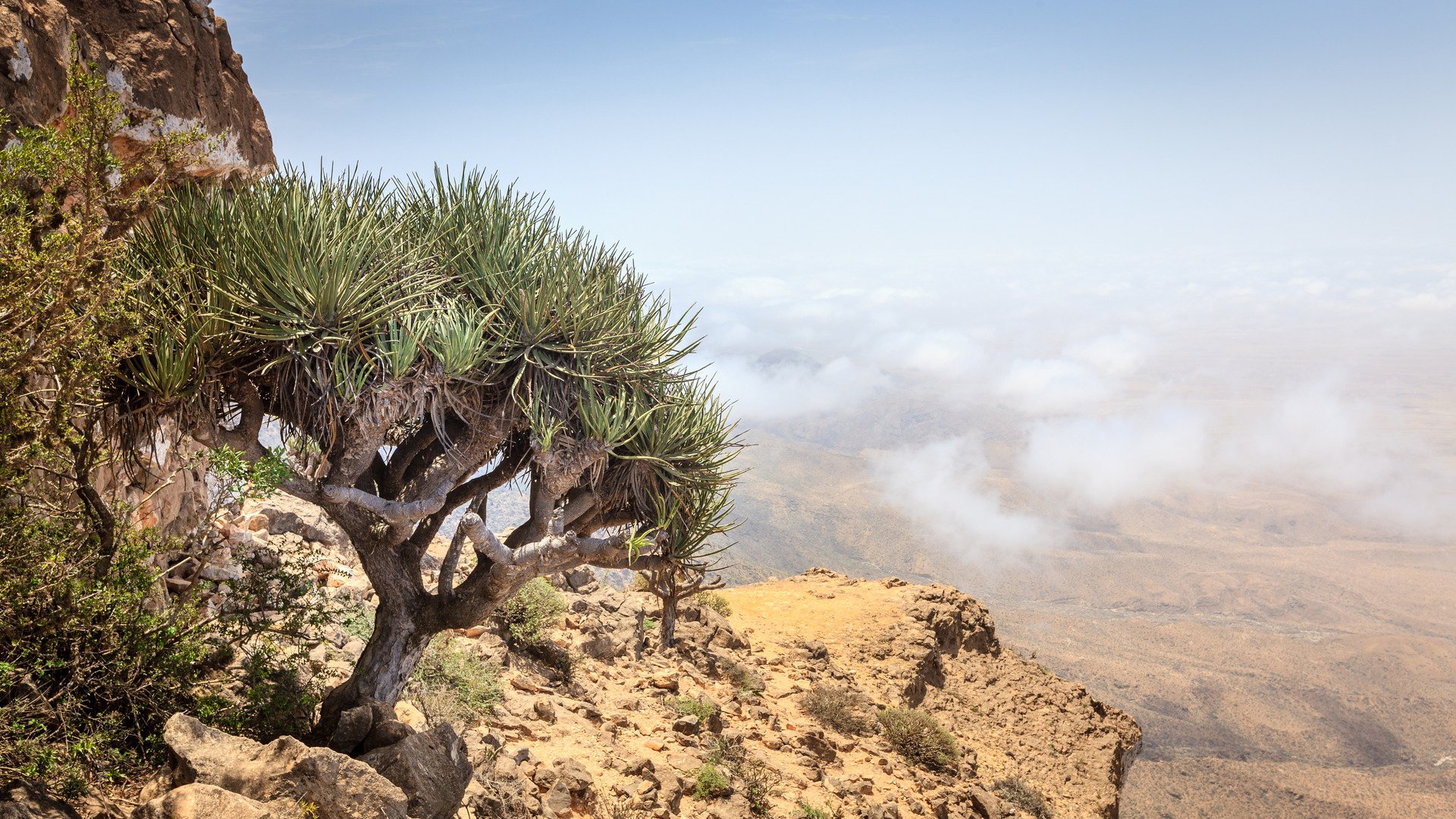 Scenic view from Jebel Samhan - an elevated plateau near Salalah, Oman