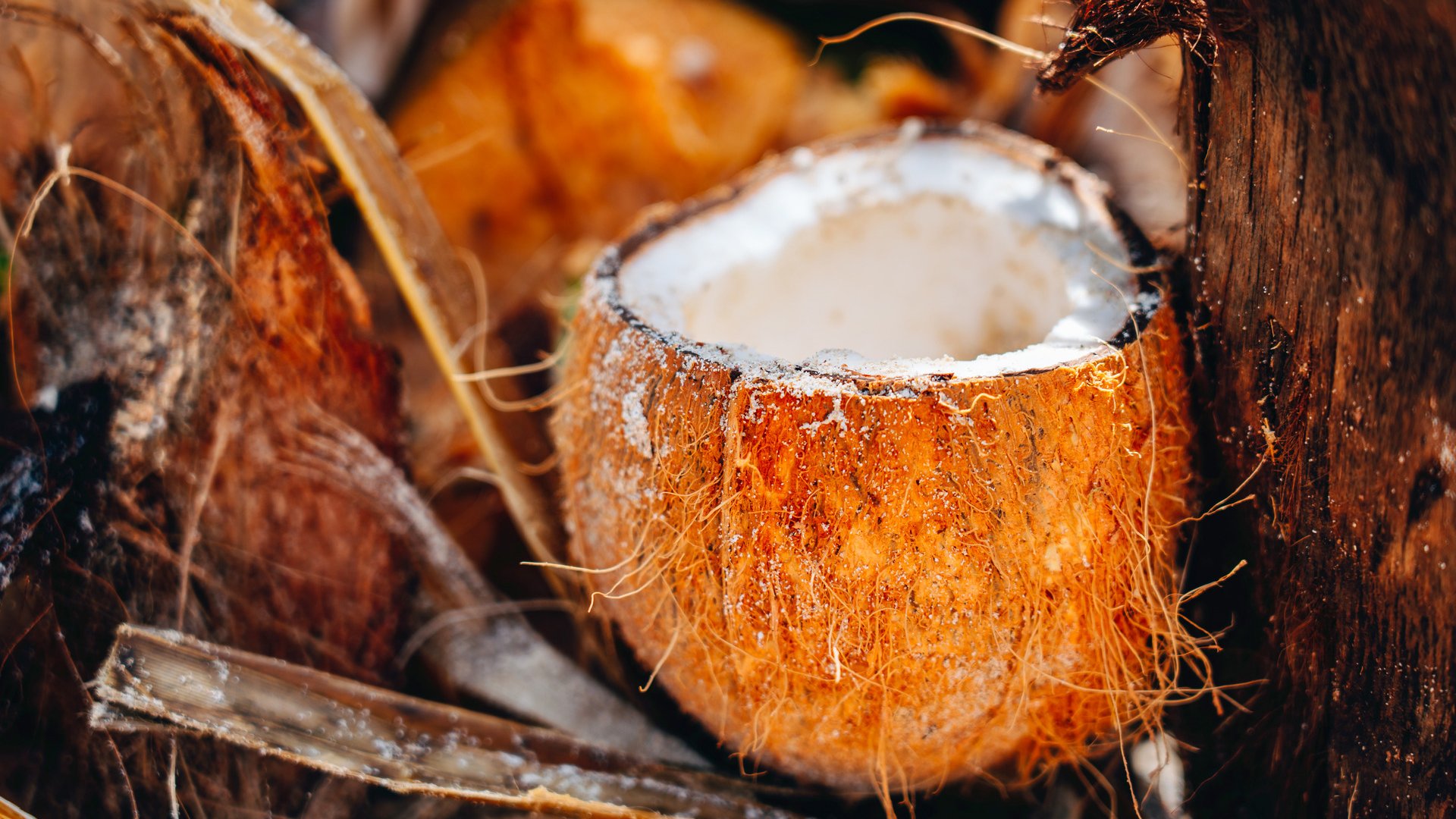 Mit dem Allrad Ko Samui entdecken