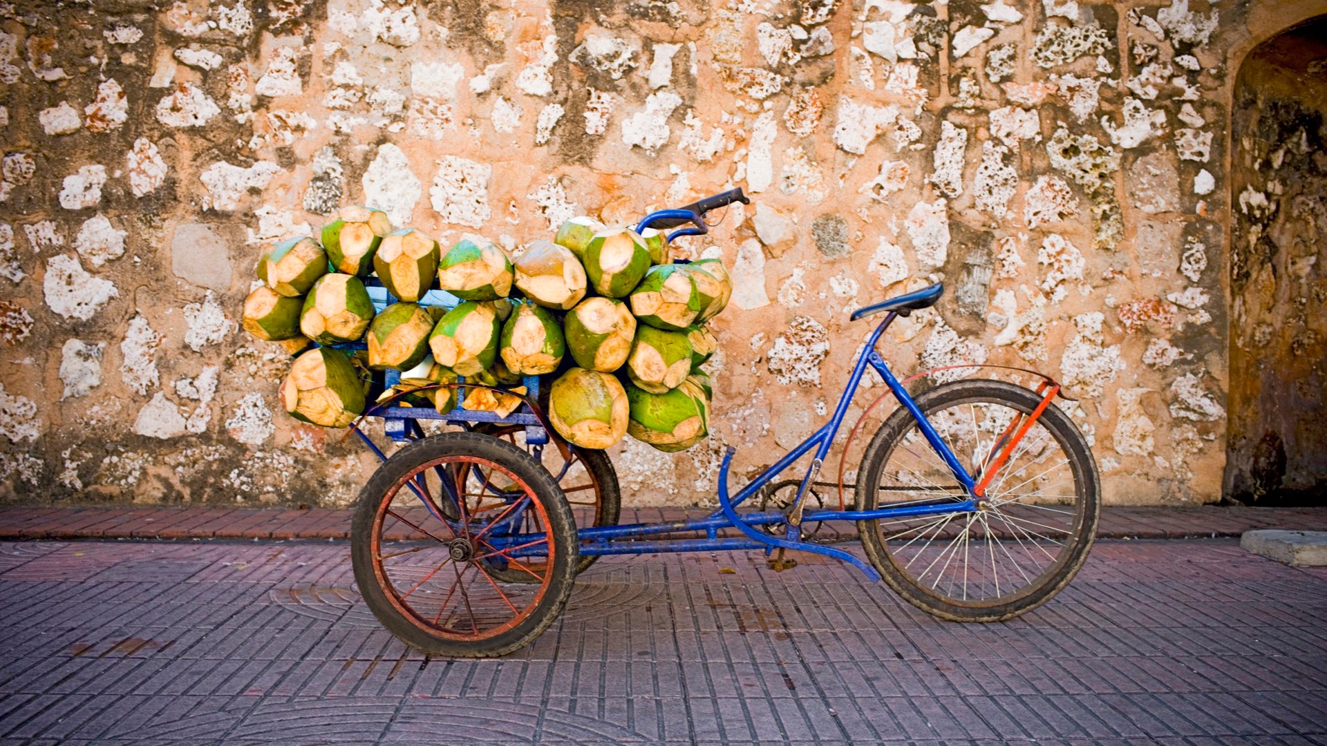 Coconuts in a rickshaw, Santo Domingo, Dominican Republic