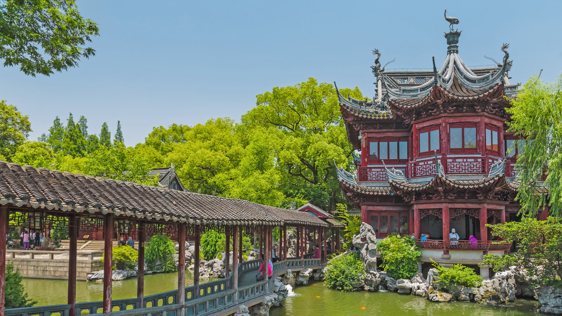Yuyuan garden (Garden of Happiness) in center of Shanghai China - travel and architecture background