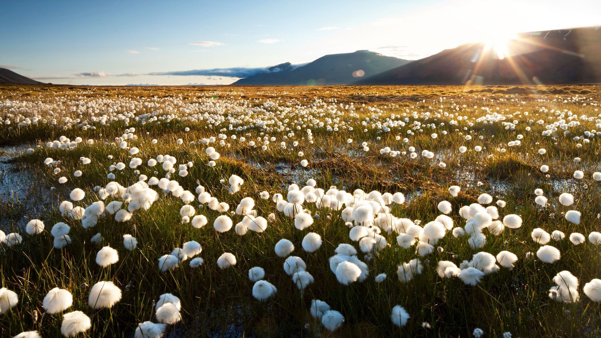 Wanderung zur Blomsterdalshøgda